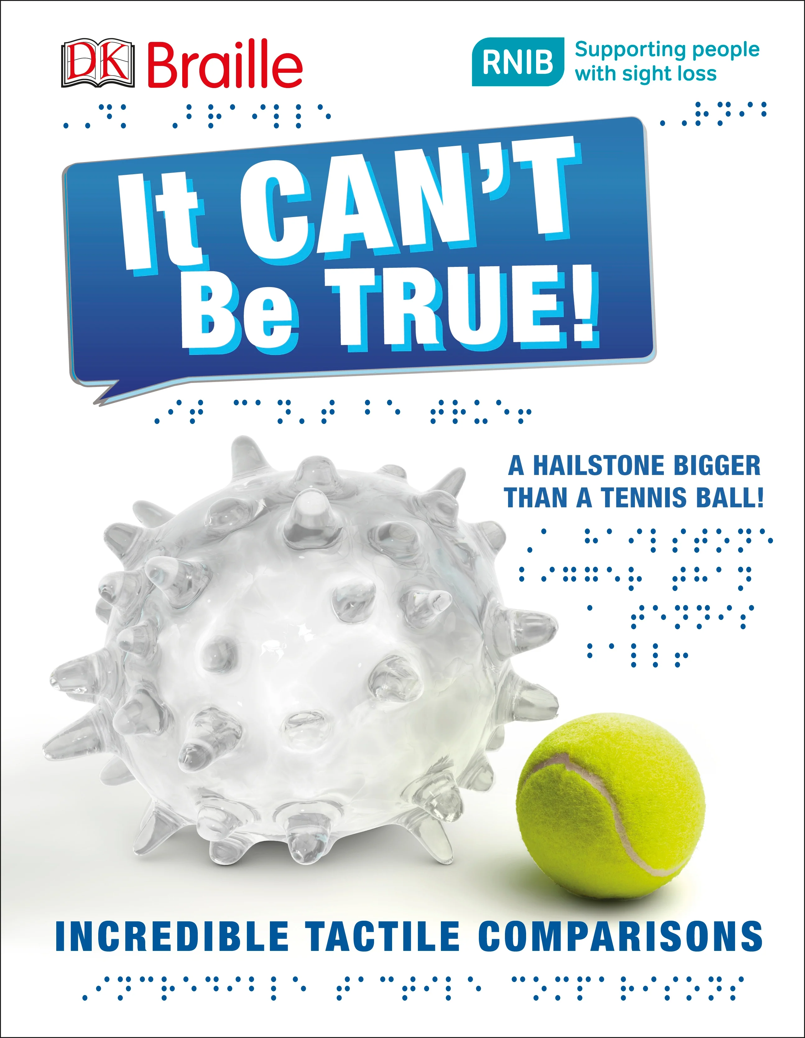 DK Braille It Can't Be True!
