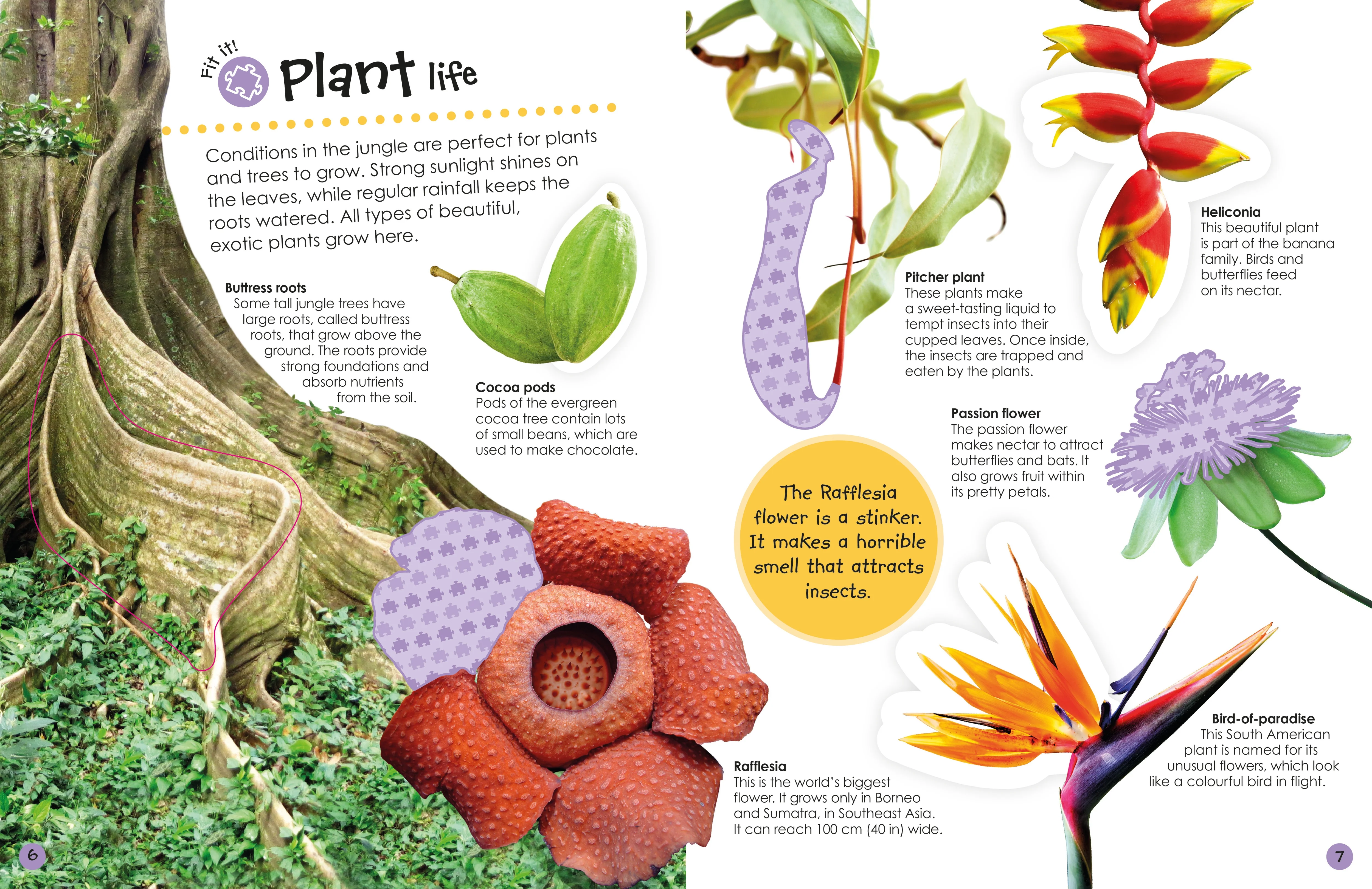 Jungle Ultimate Sticker Book - Image 3