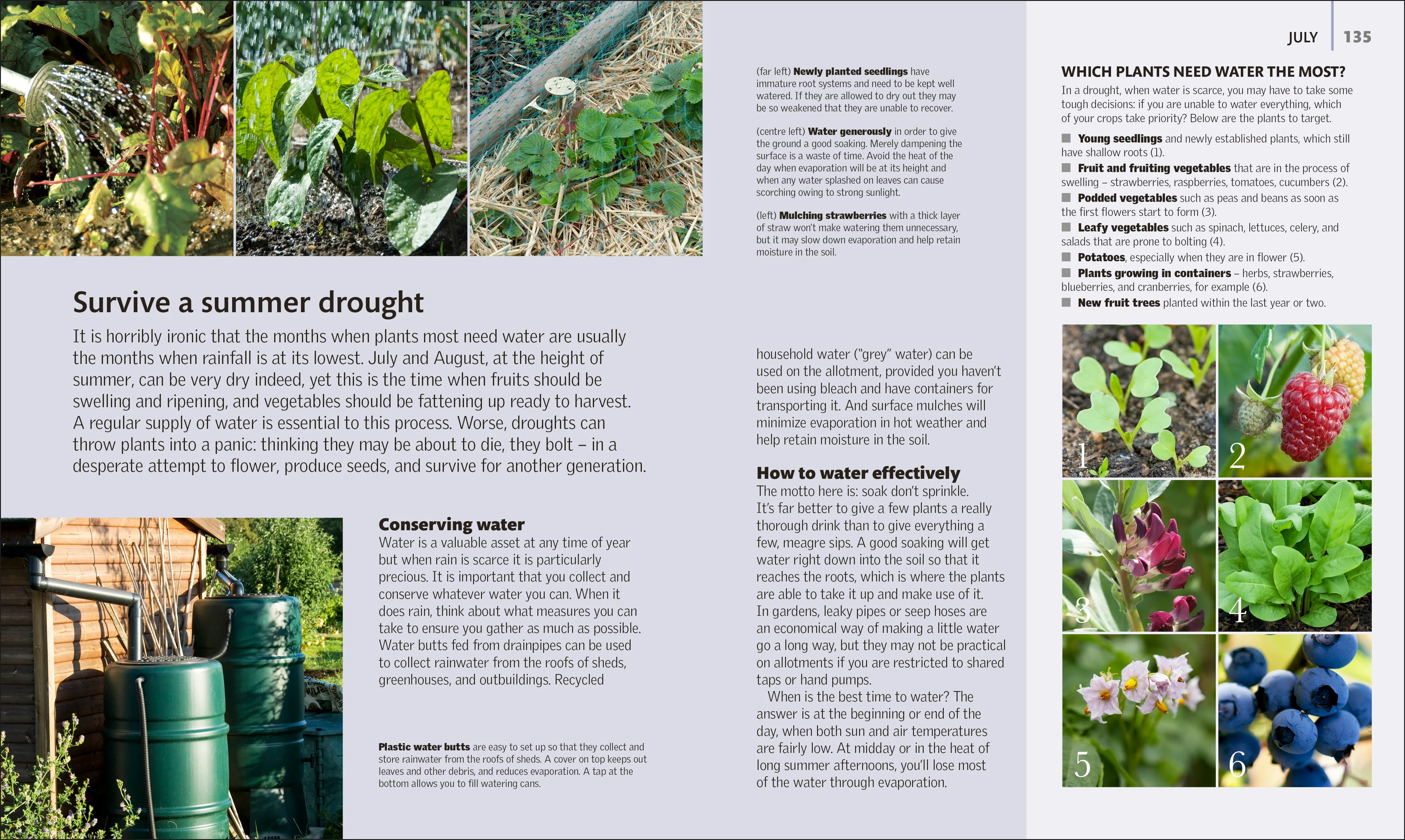 Allotment Month By Month - Image 4