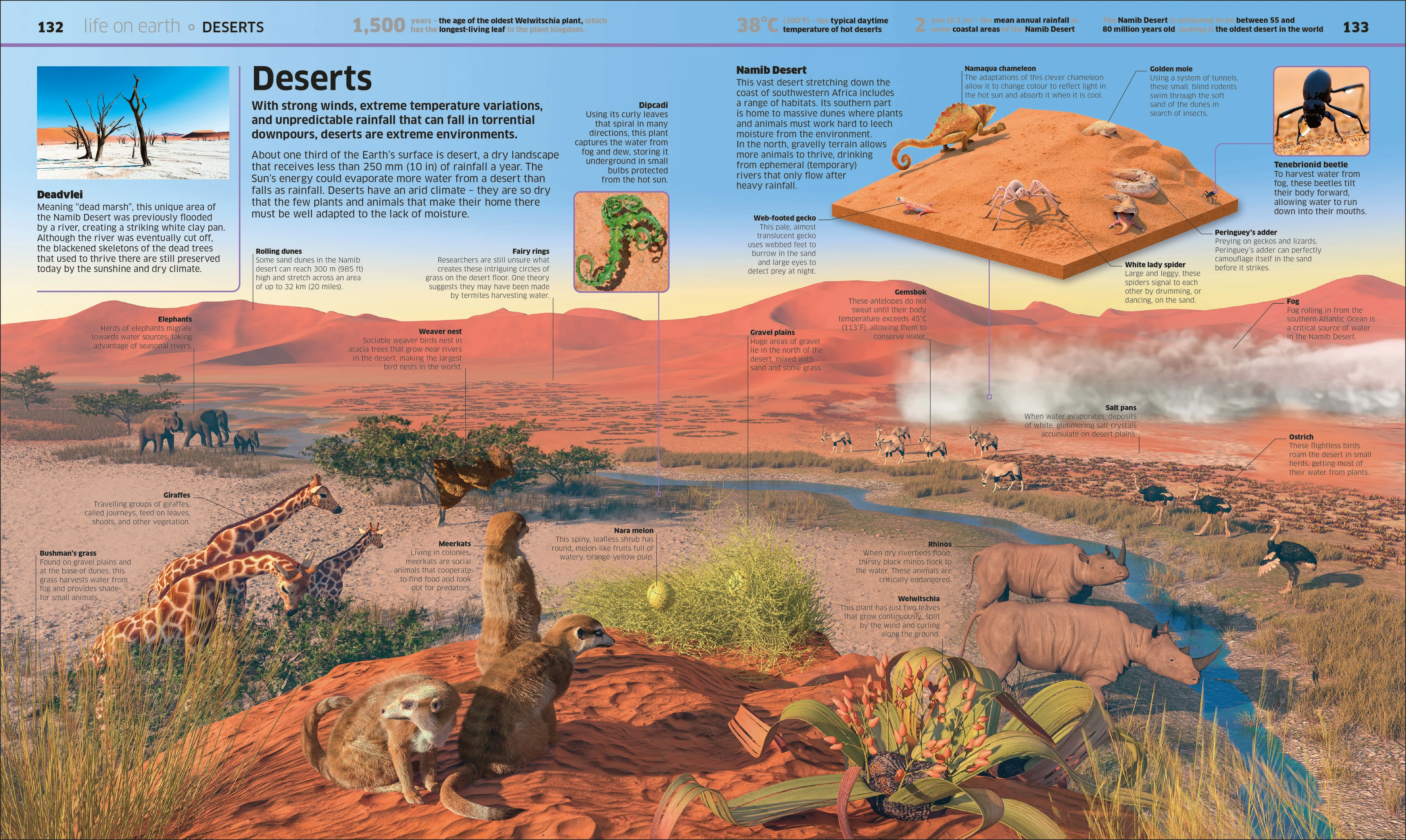Knowledge Encyclopedia Earth! - Image 10