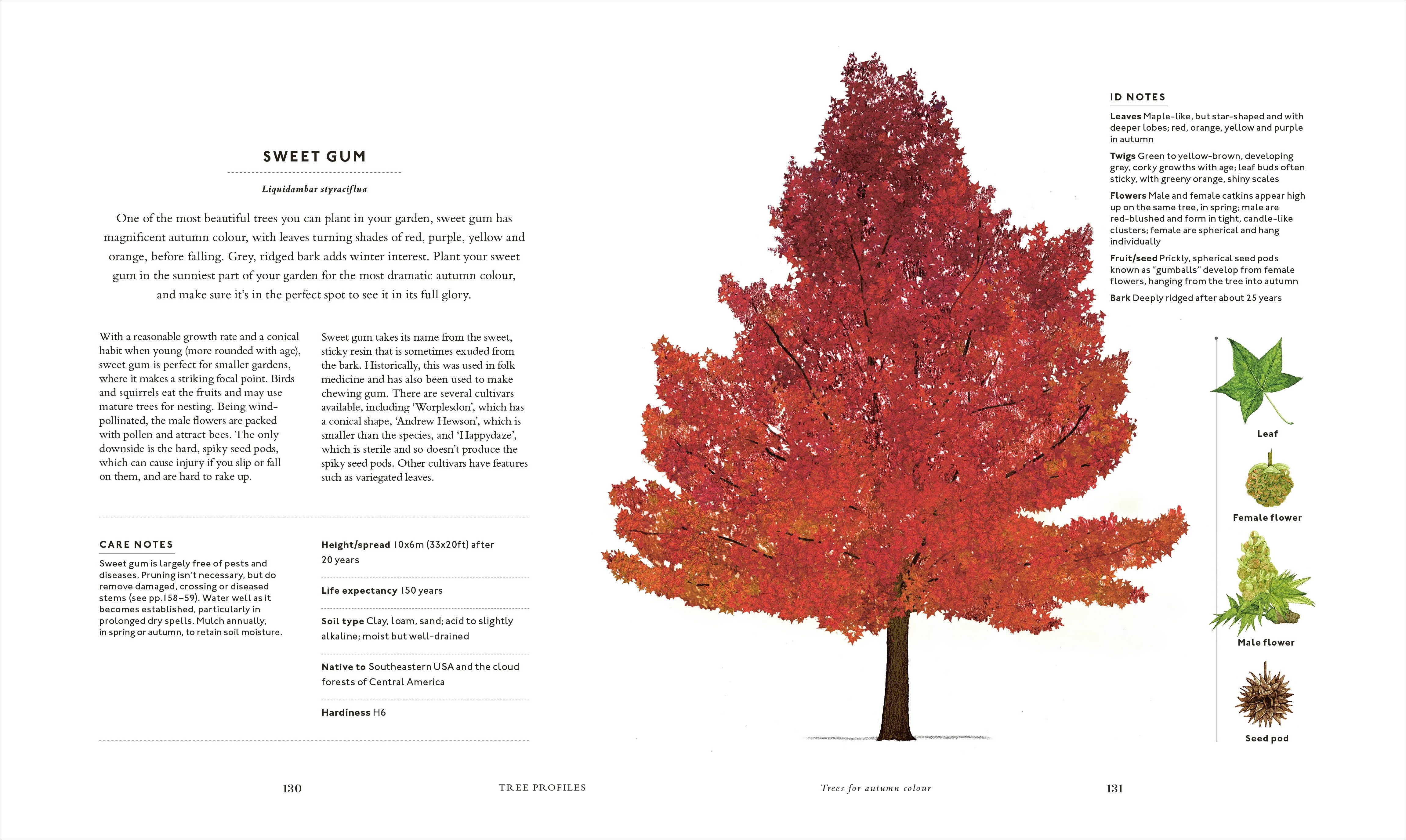 RHS The Tree in My Garden - Image 6