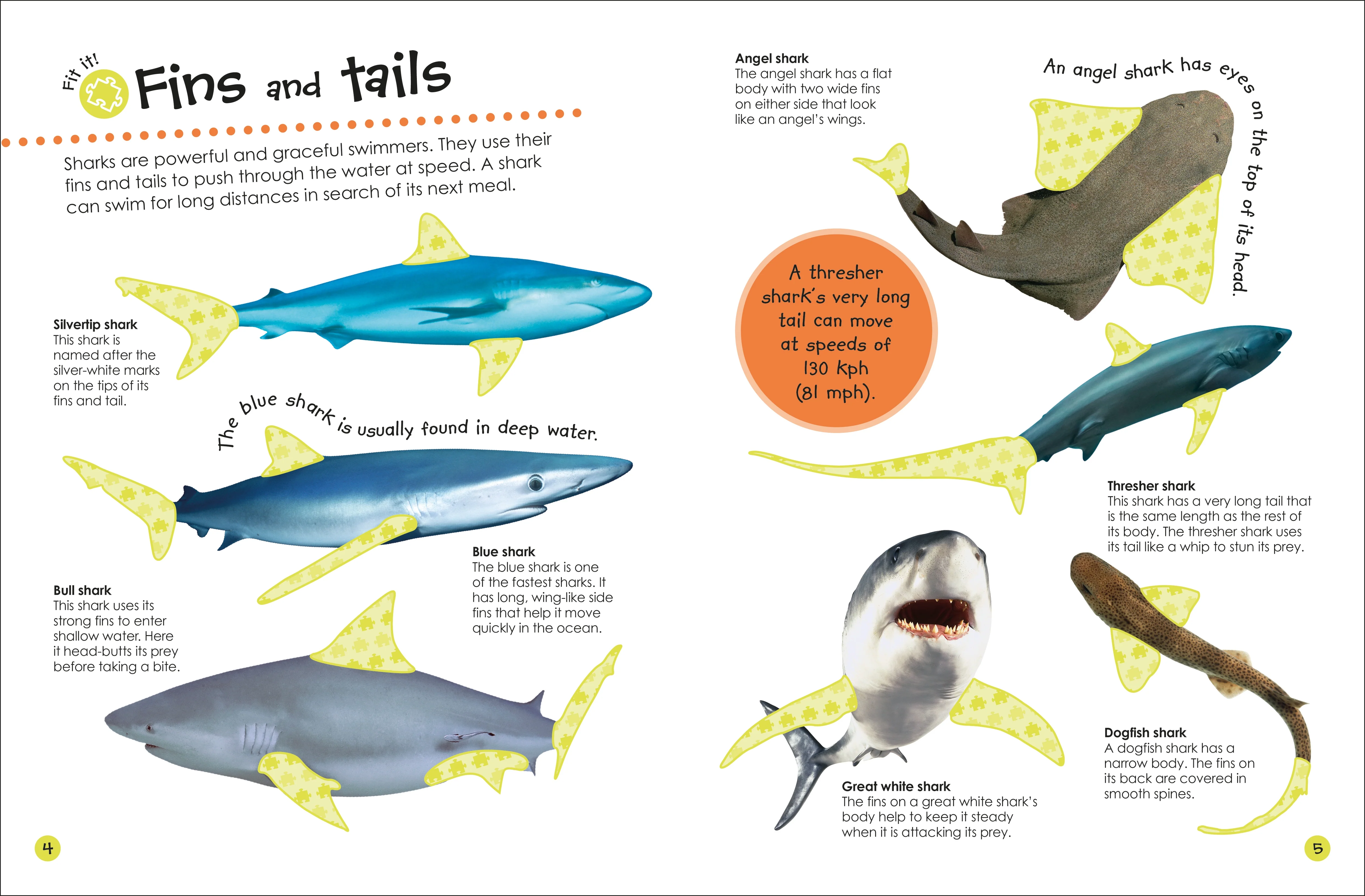 Ultimate Sticker Book Sharks - Image 2