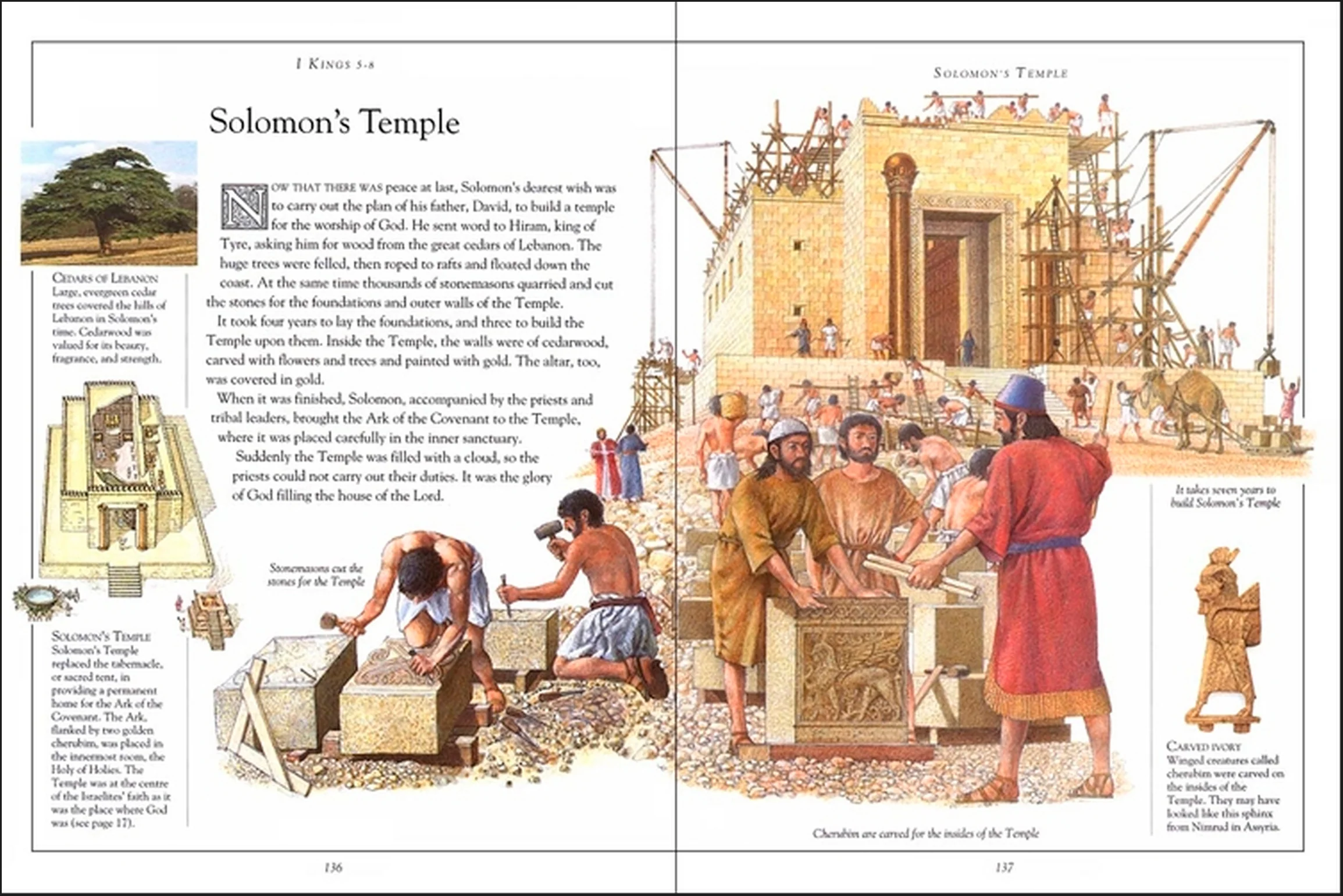 The Children's Pocket Bible - Image 3