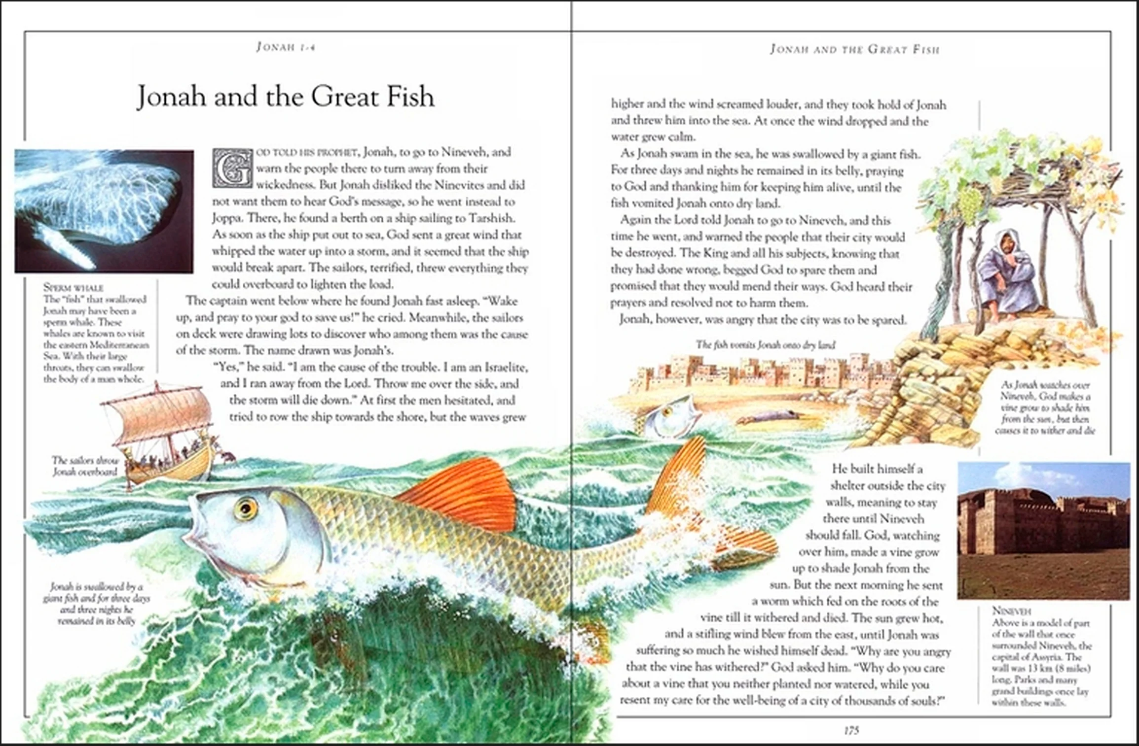 The Children's Pocket Bible - Image 4