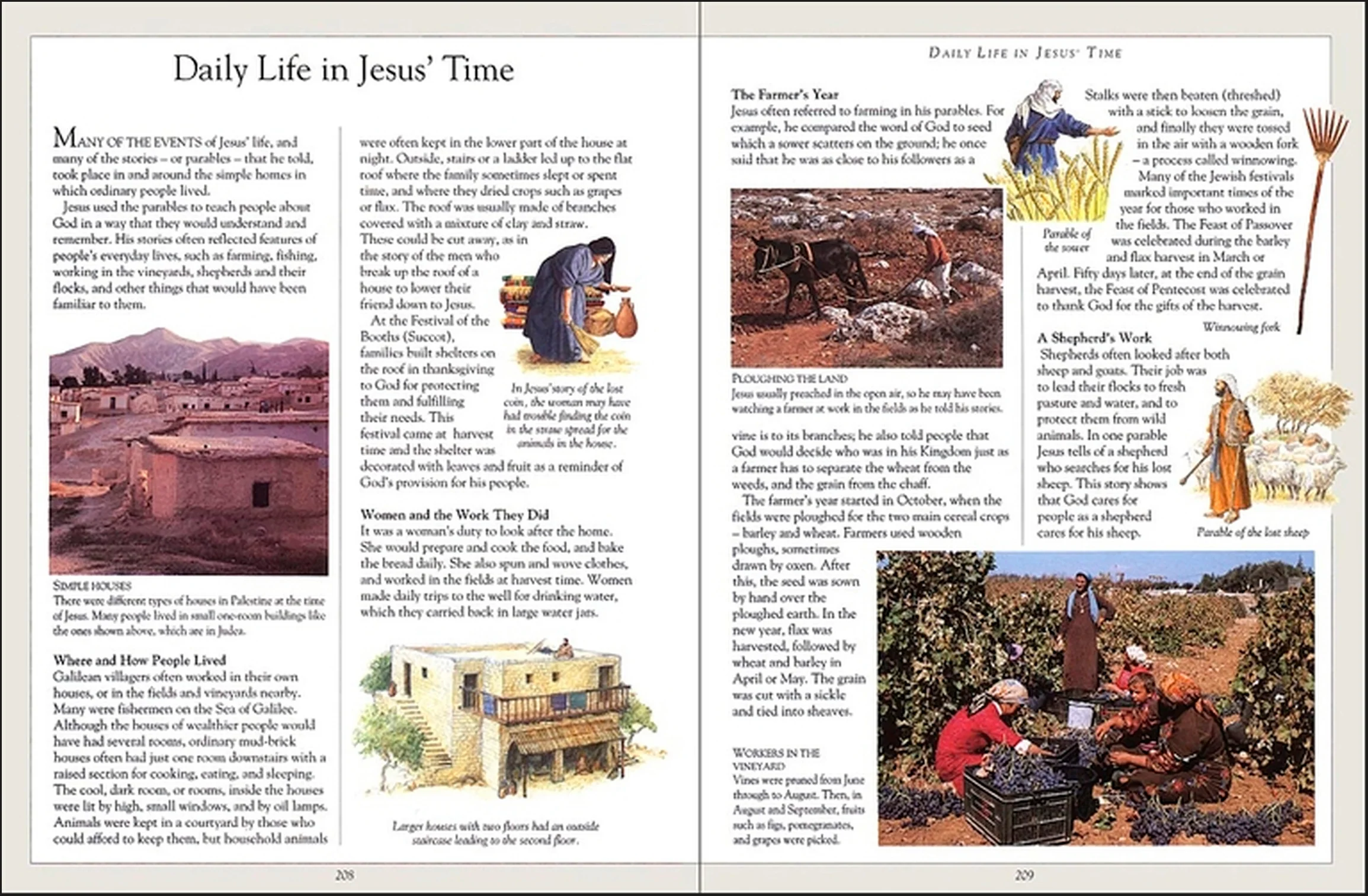The Children's Pocket Bible - Image 5