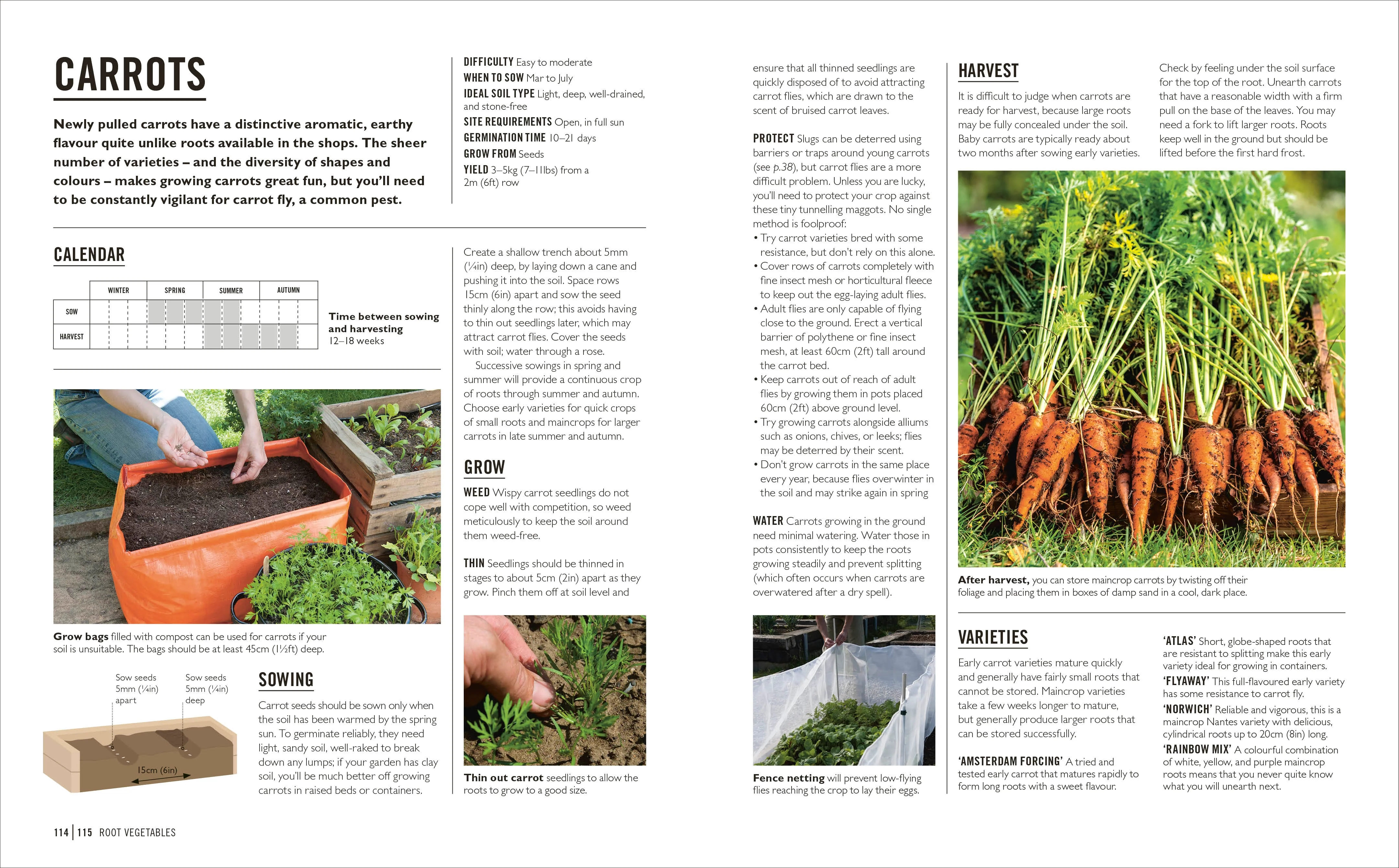 Grow Easy Veg - Image 6