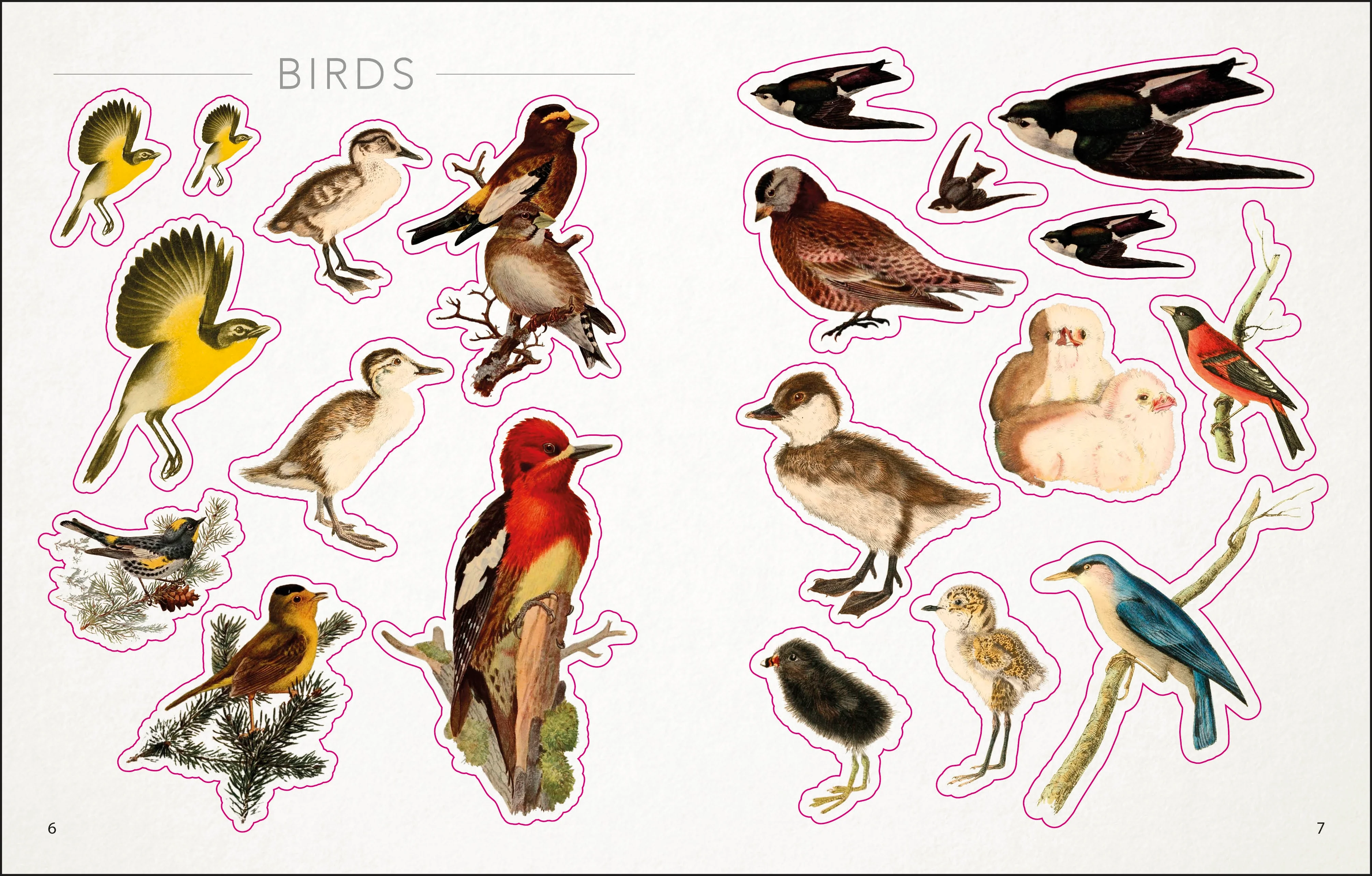 The Bees, Birds & Butterflies Sticker Anthology - Image 2