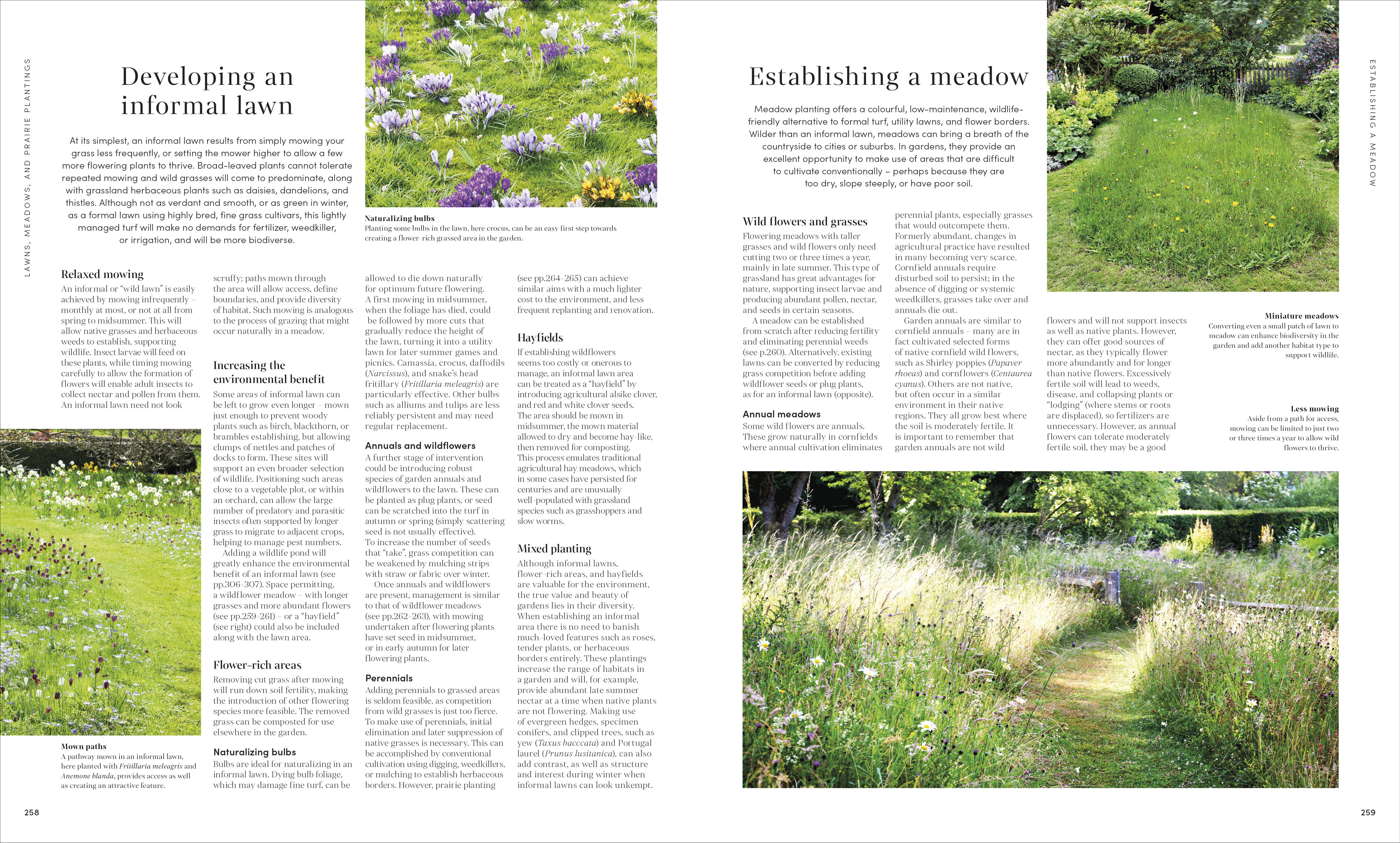 RHS Encyclopedia of Gardening New Edition - Image 5