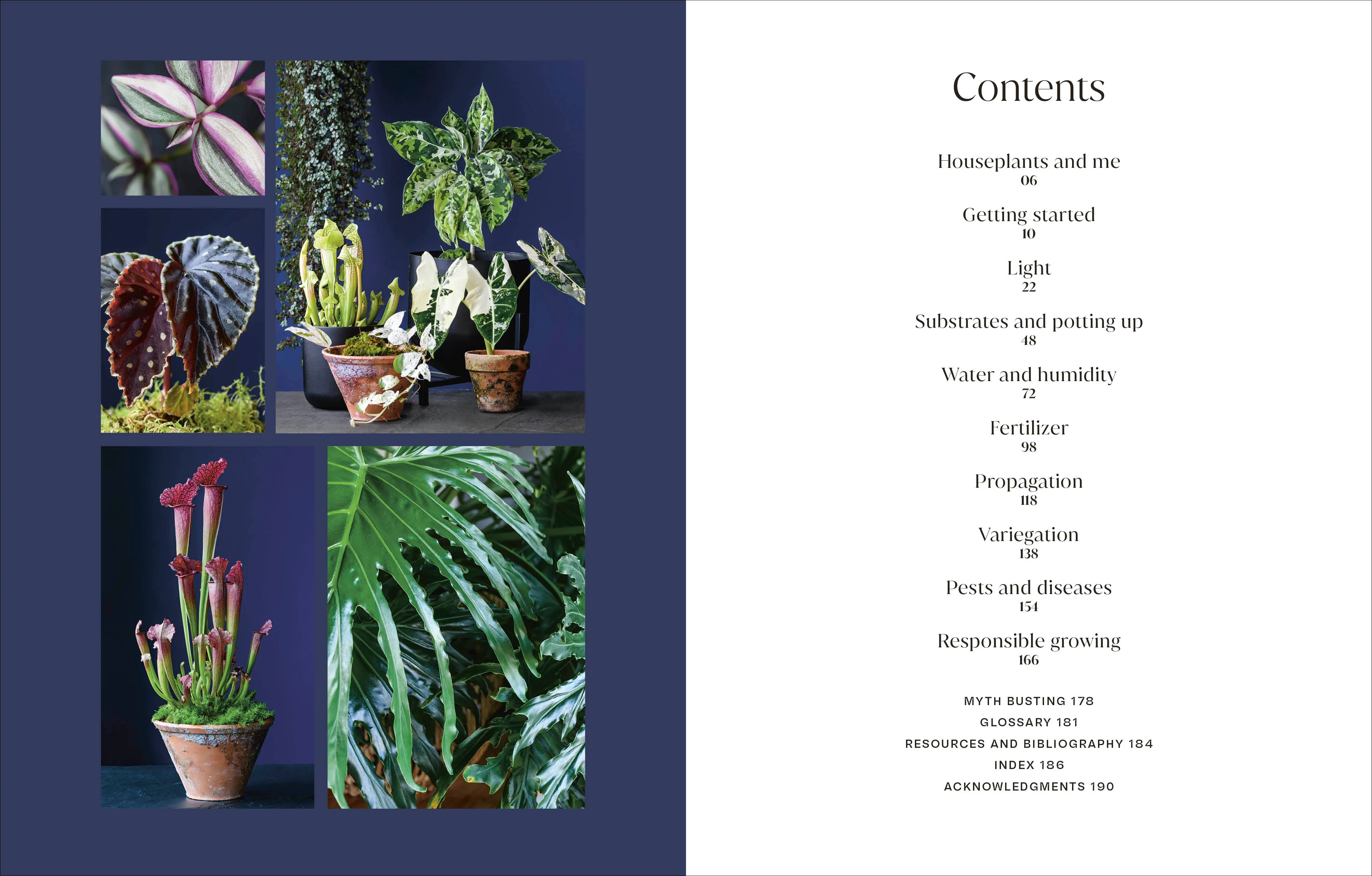 Not Another Jungle - Image 2