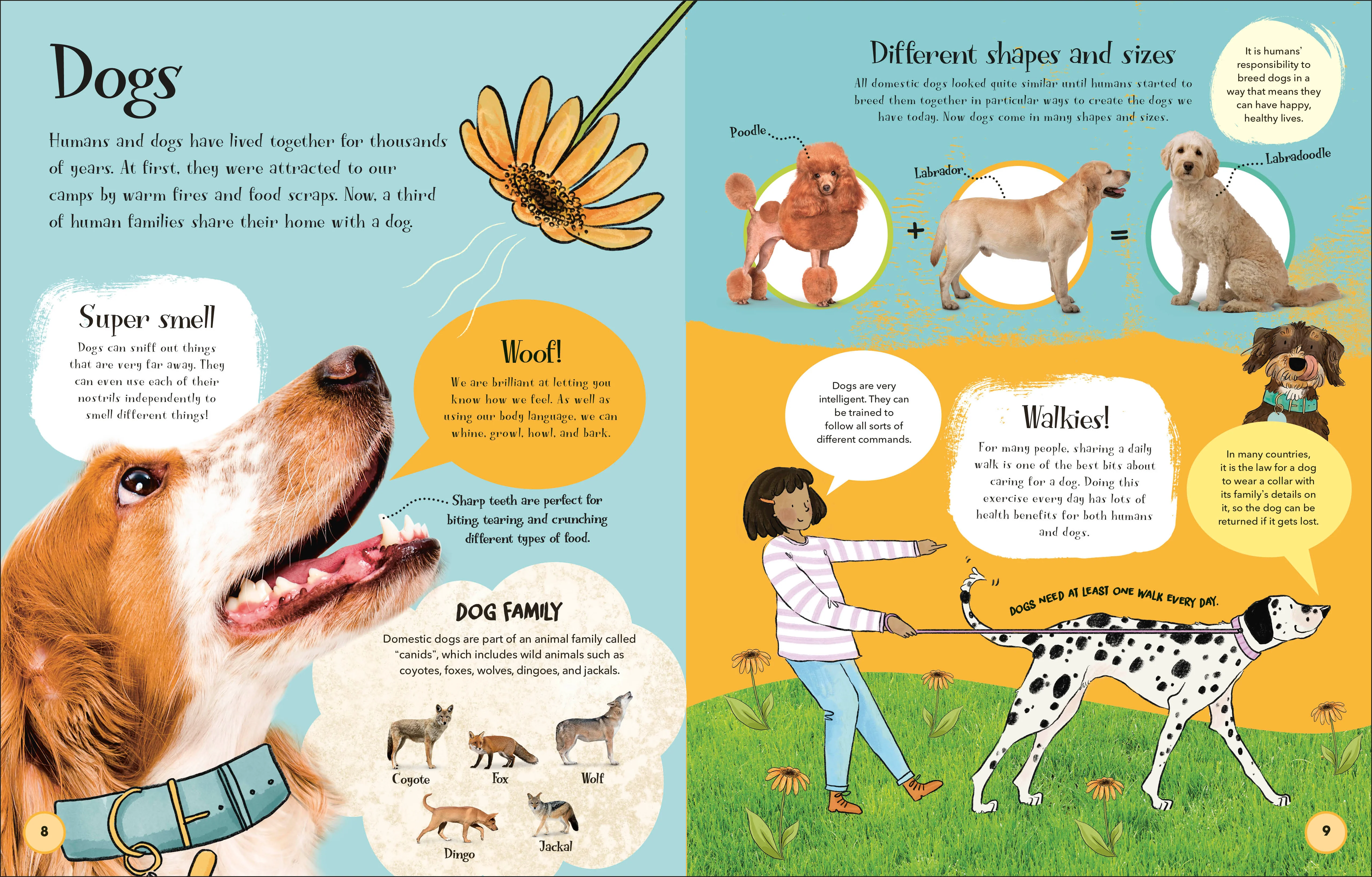 Pets and Their People - Image 2