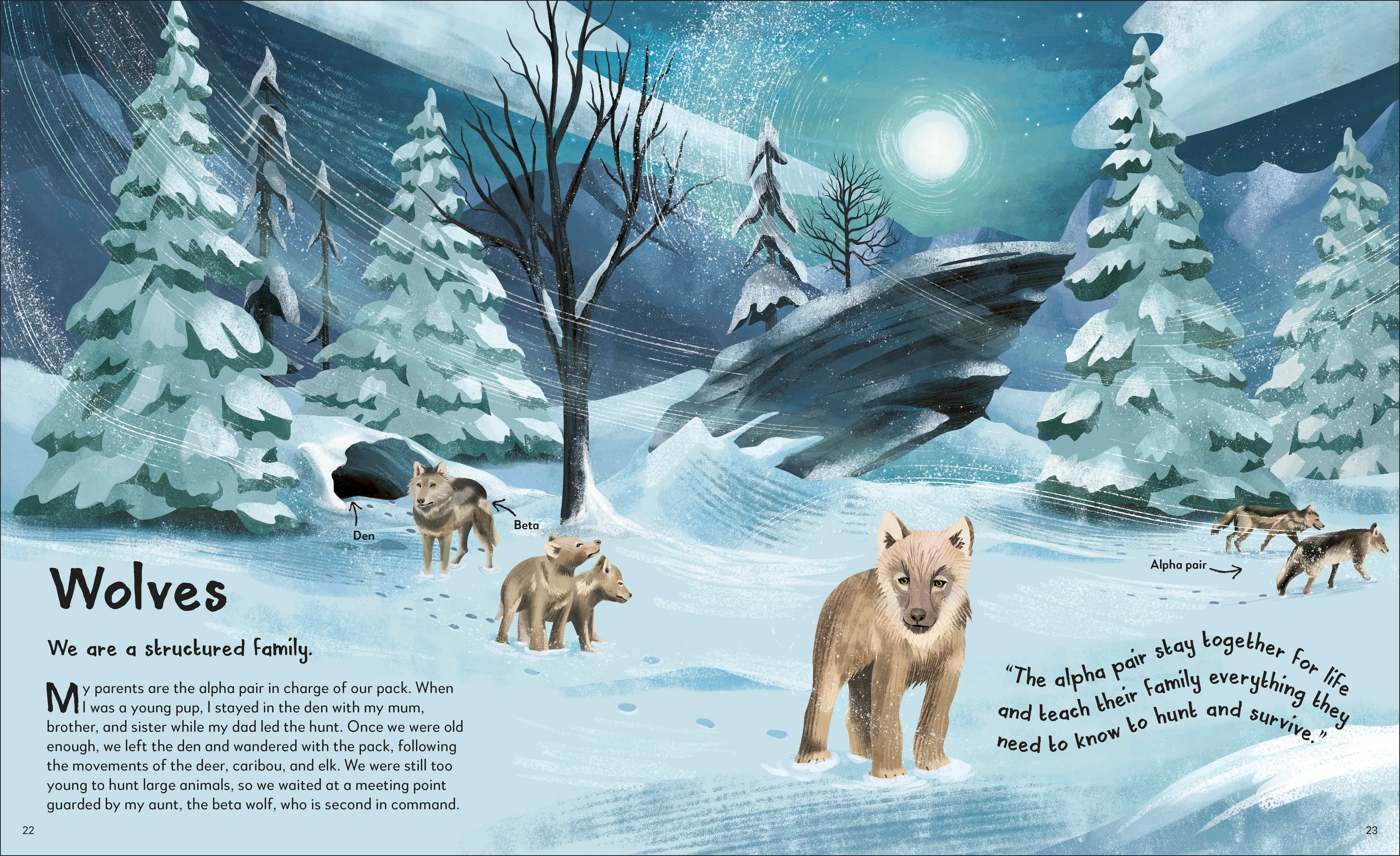 My Animal Family - Image 2