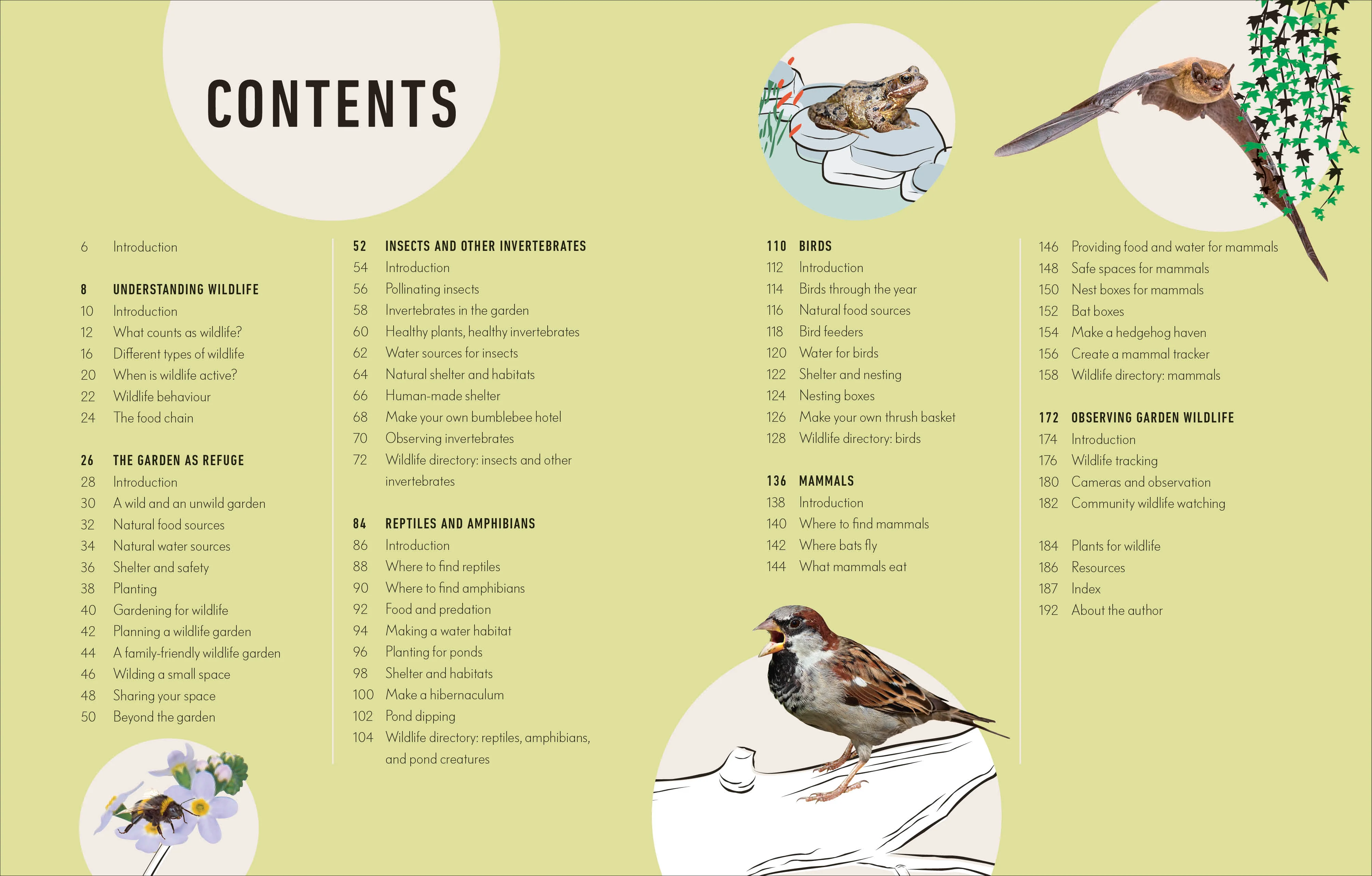 How to Attract Wildlife to Your Garden - Image 2