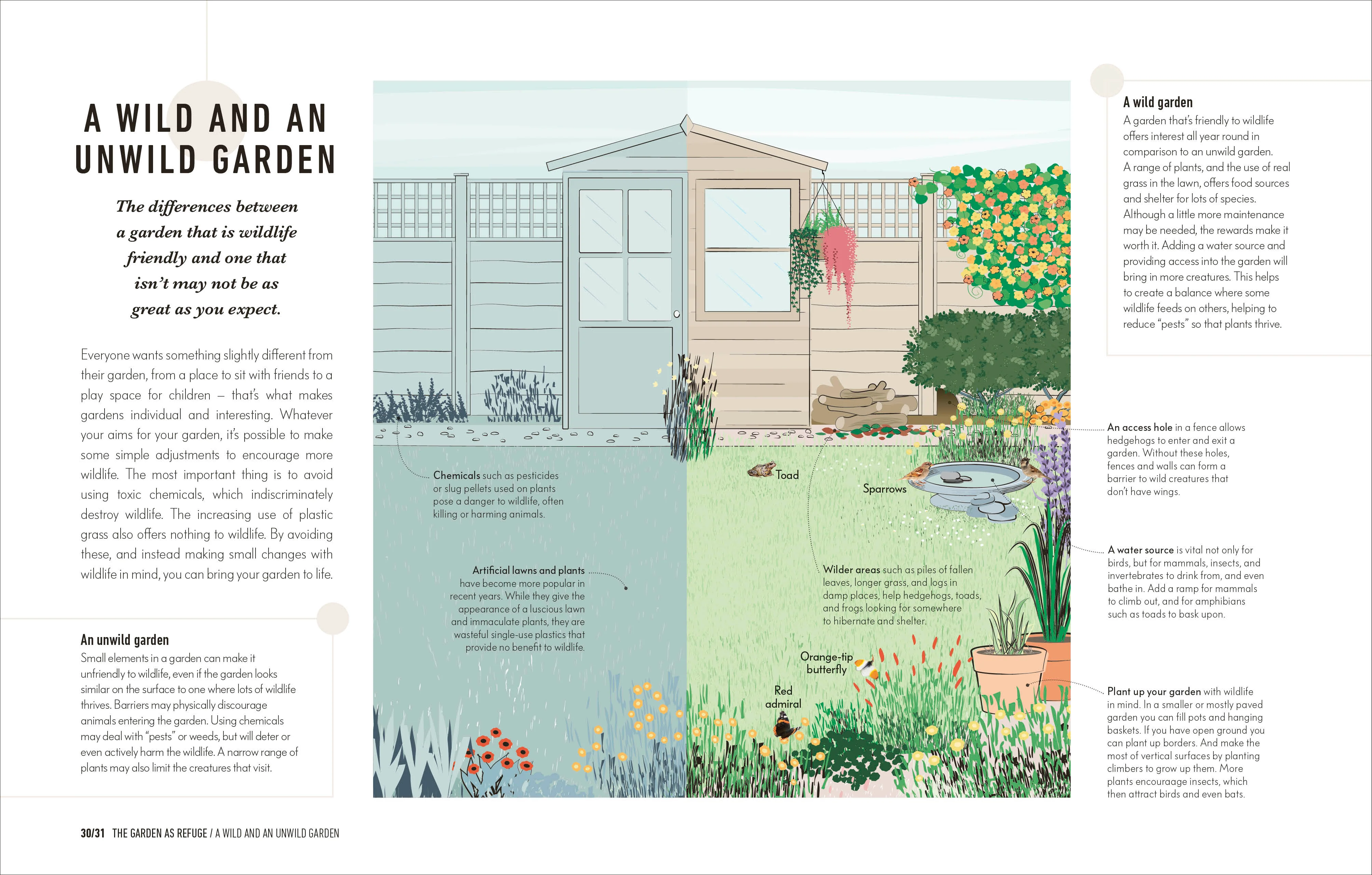 How to Attract Wildlife to Your Garden - Image 4
