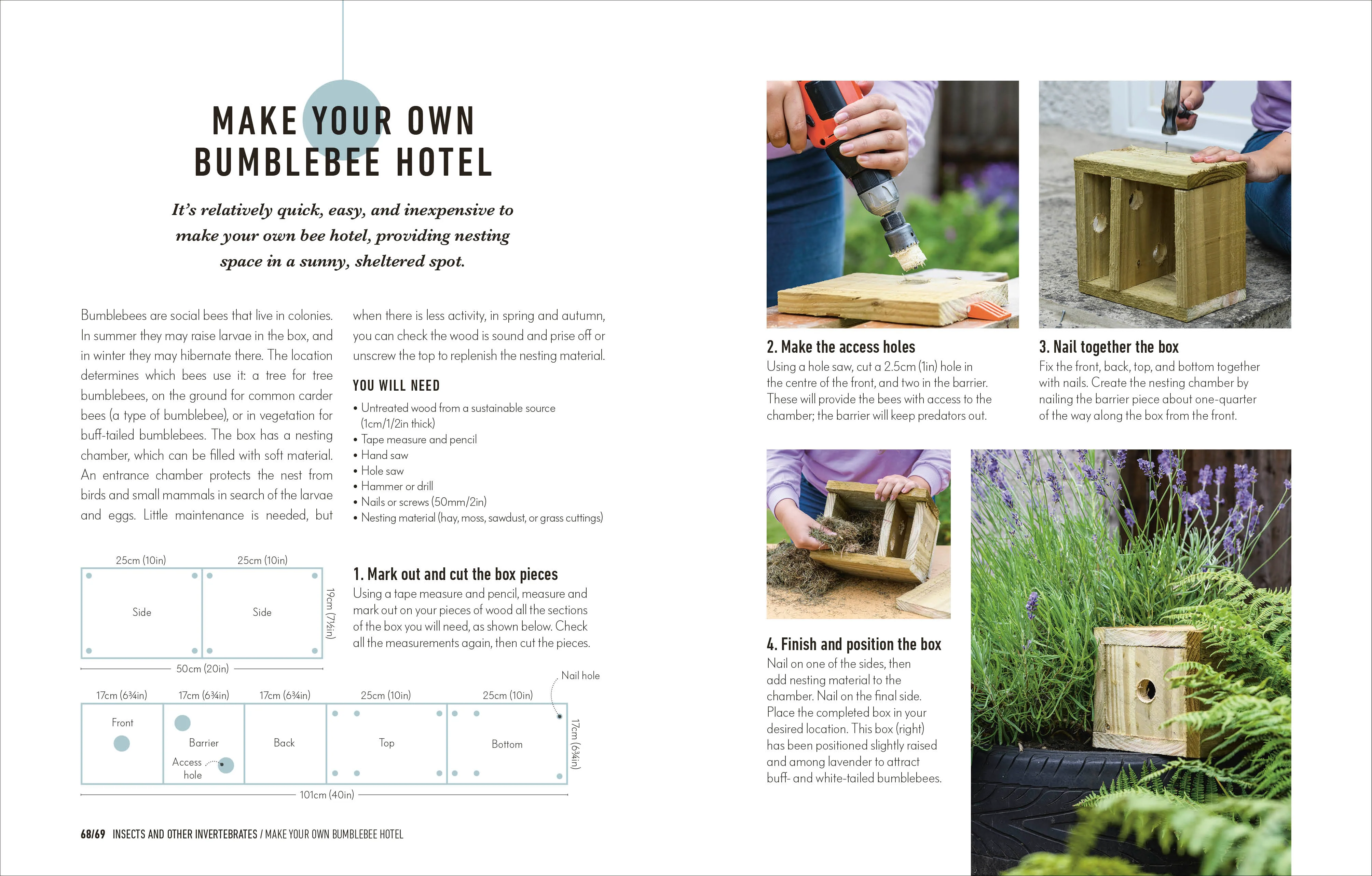 How to Attract Wildlife to Your Garden - Image 5