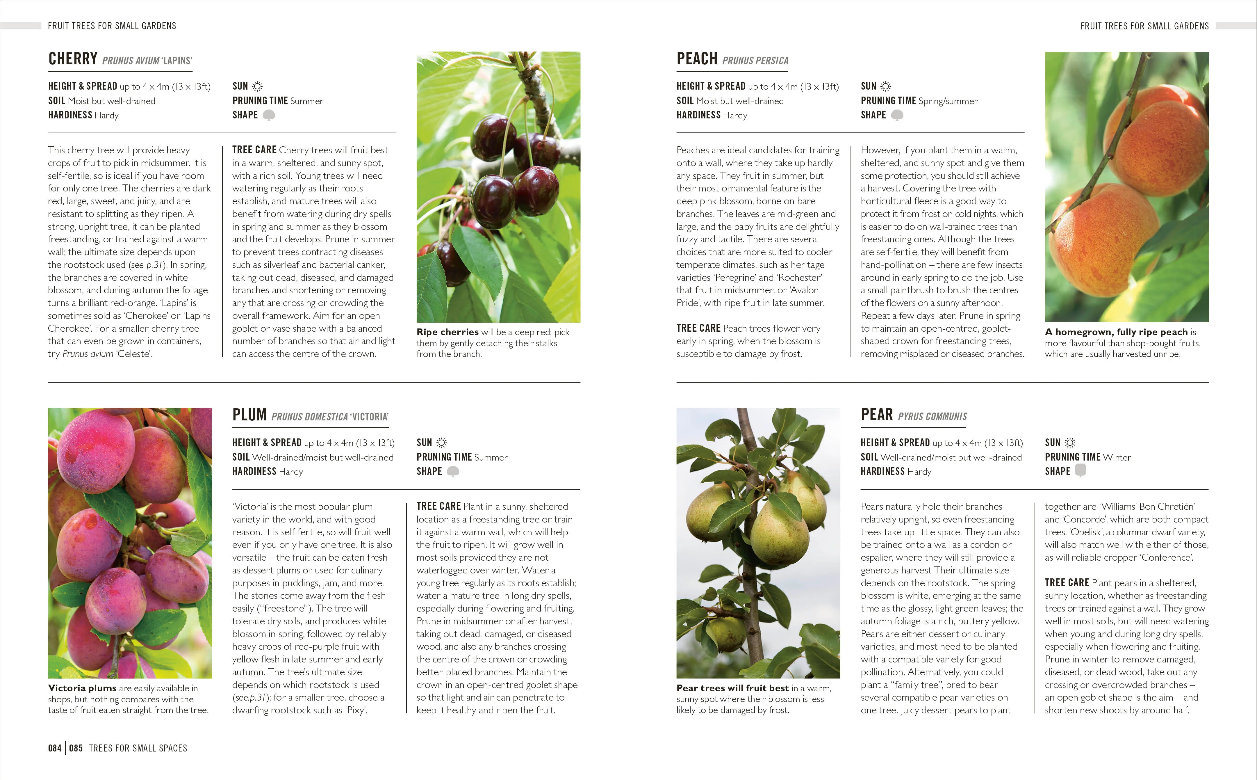 Grow Trees - Image 6