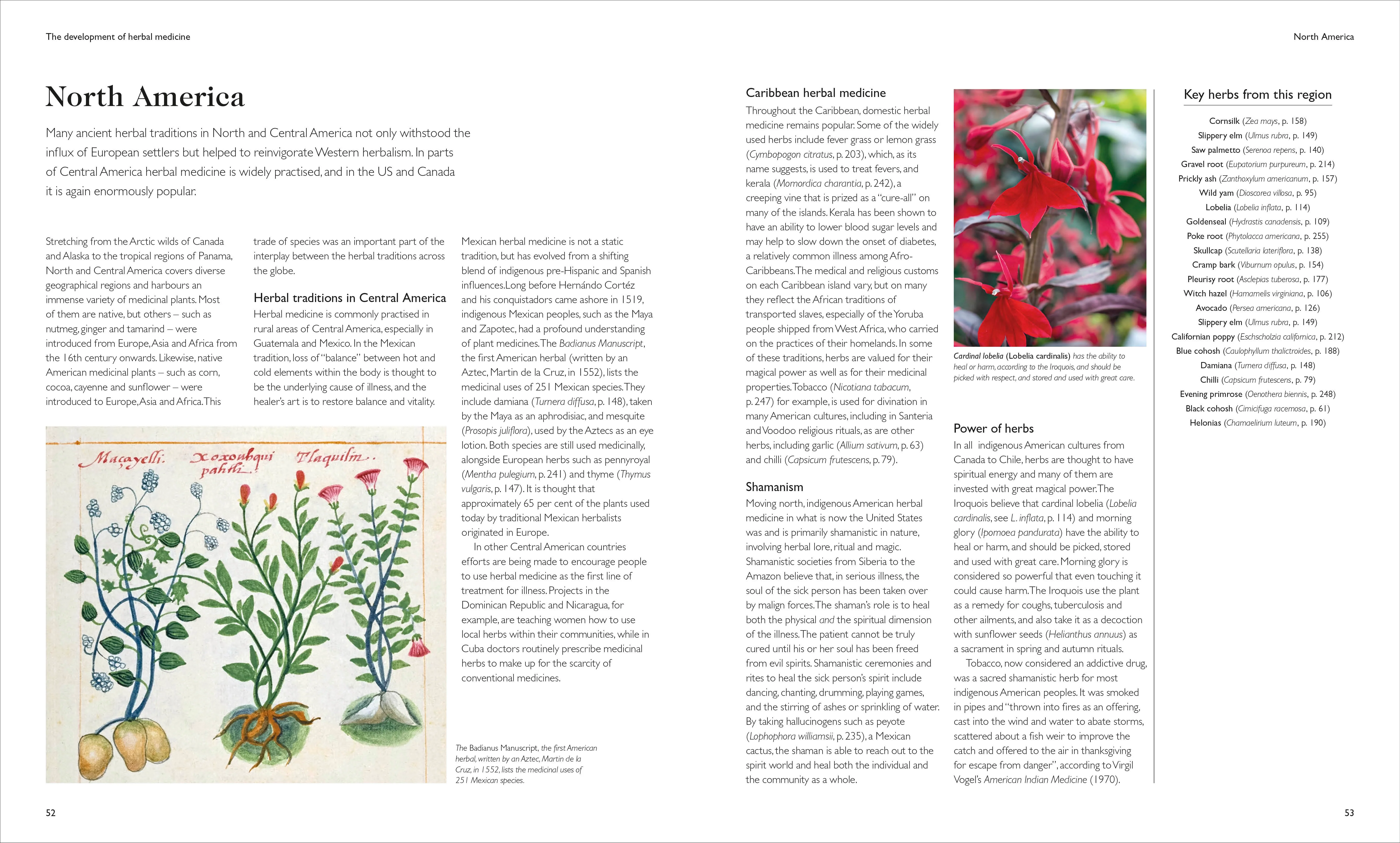 Encyclopedia of Herbal Medicine New Edition - Image 3