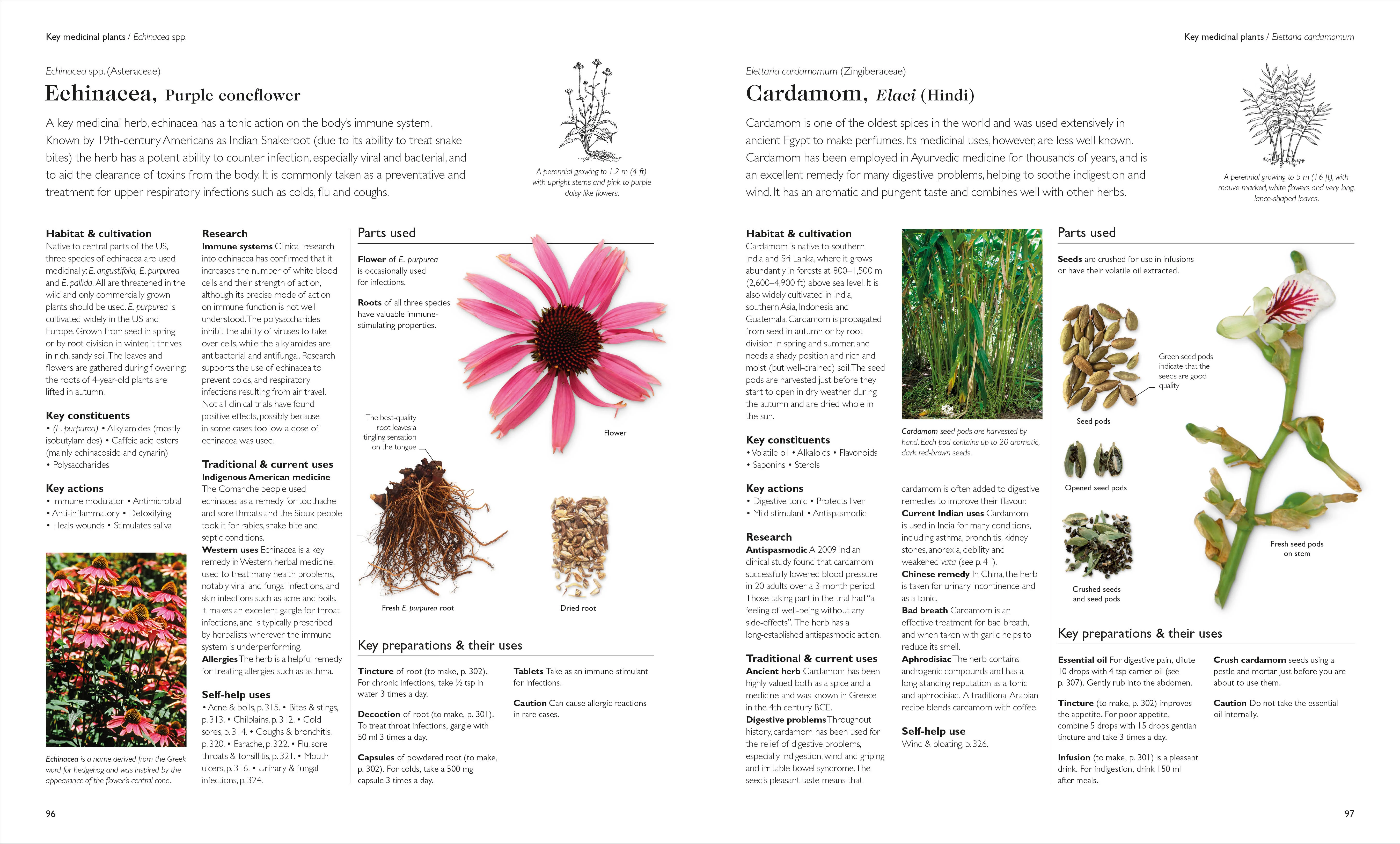 Encyclopedia of Herbal Medicine New Edition - Image 4