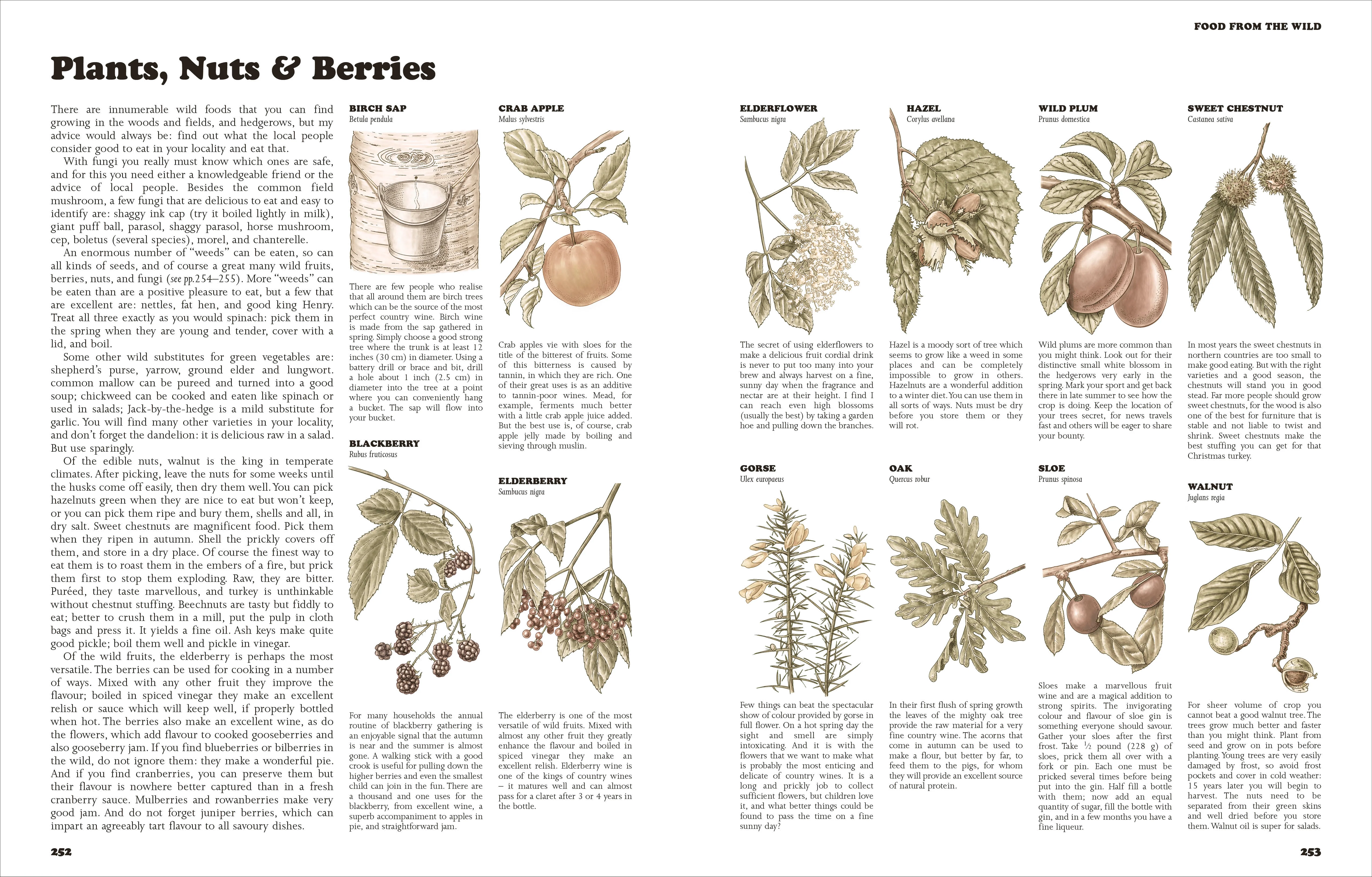 The Complete Book of Self-Sufficiency - Image 6