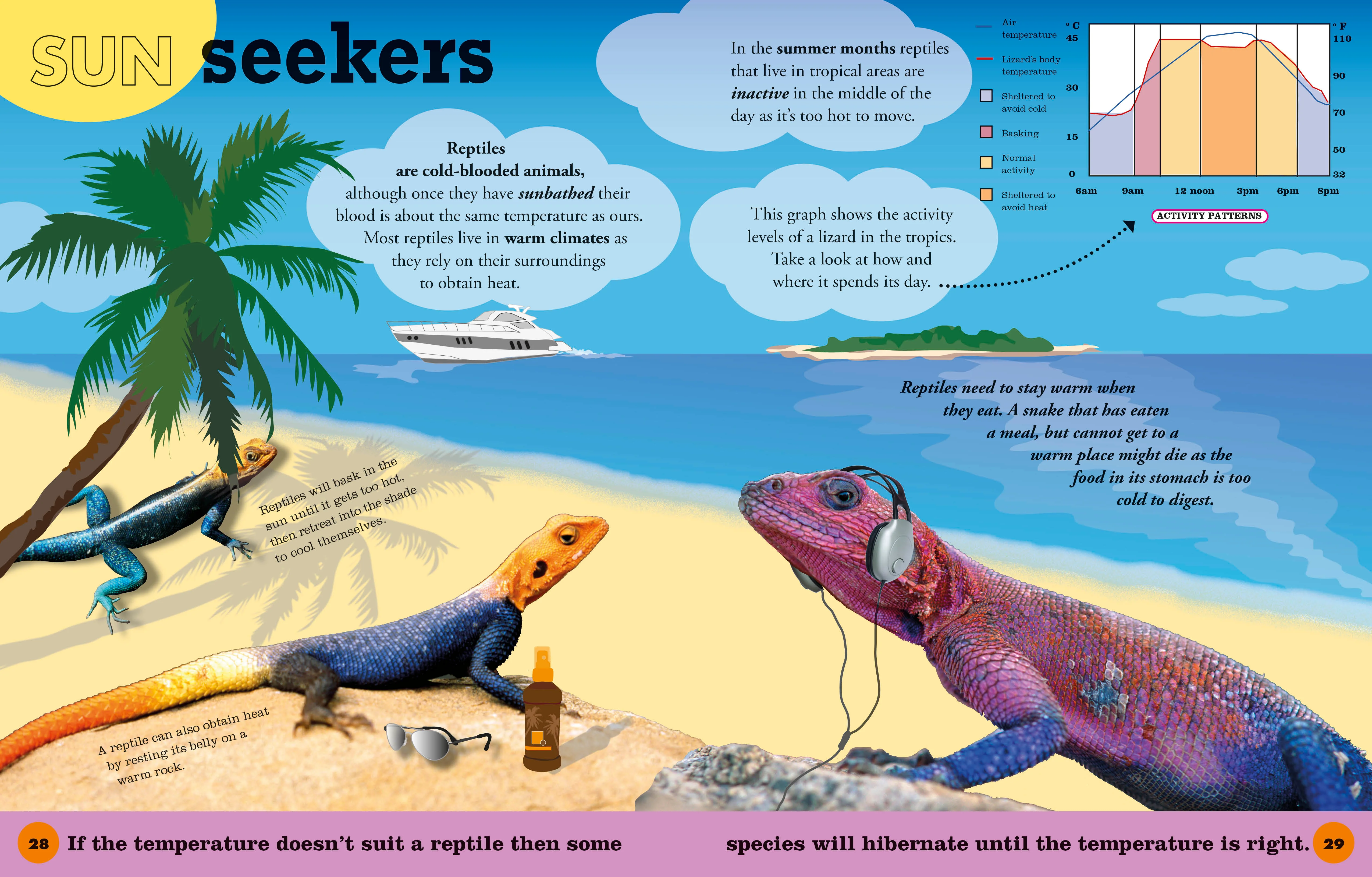 Everything You Need to Know About Frogs - Image 2