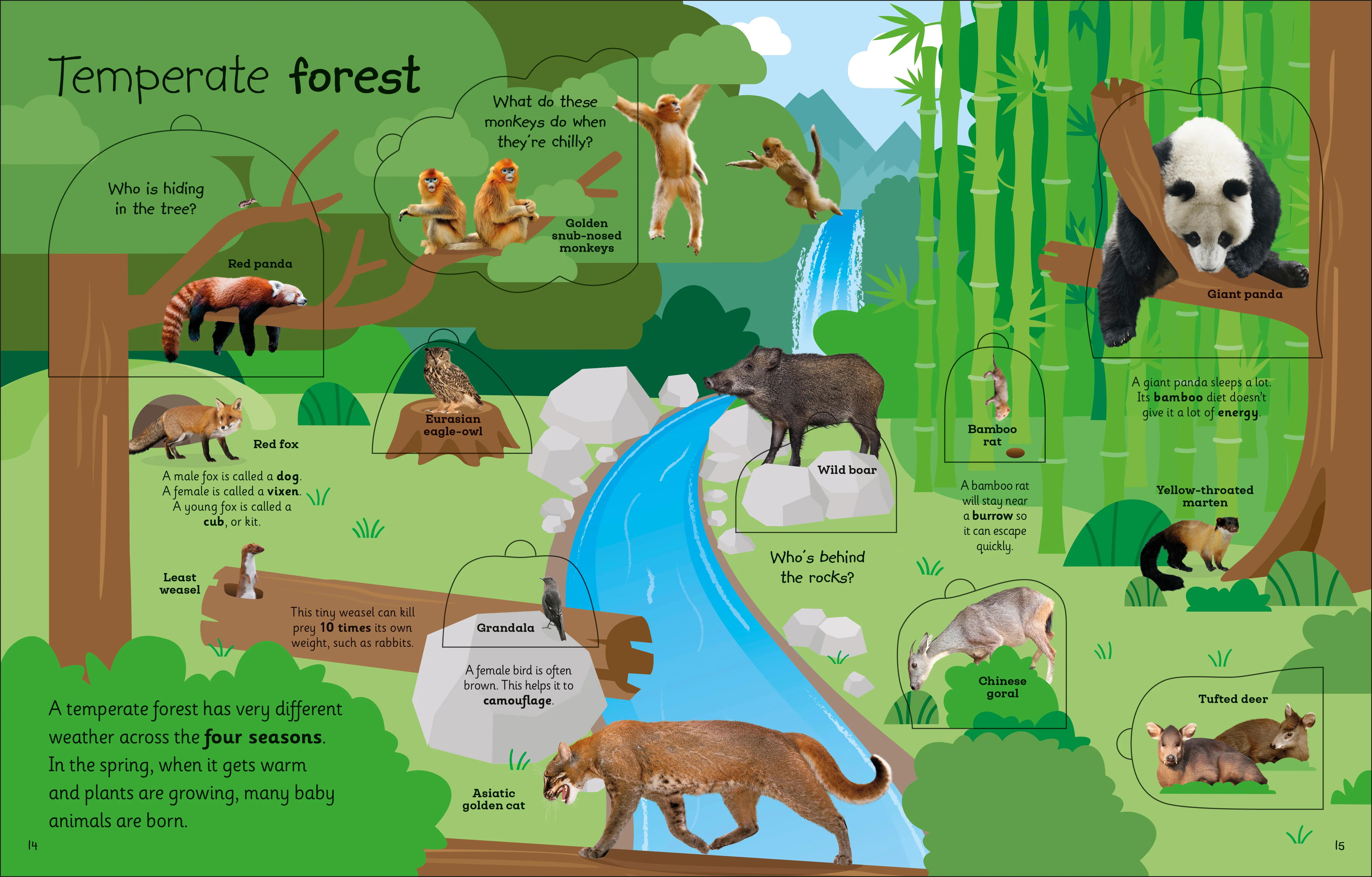 My Very Important Lift-the-Flap Book: Animals - Image 3