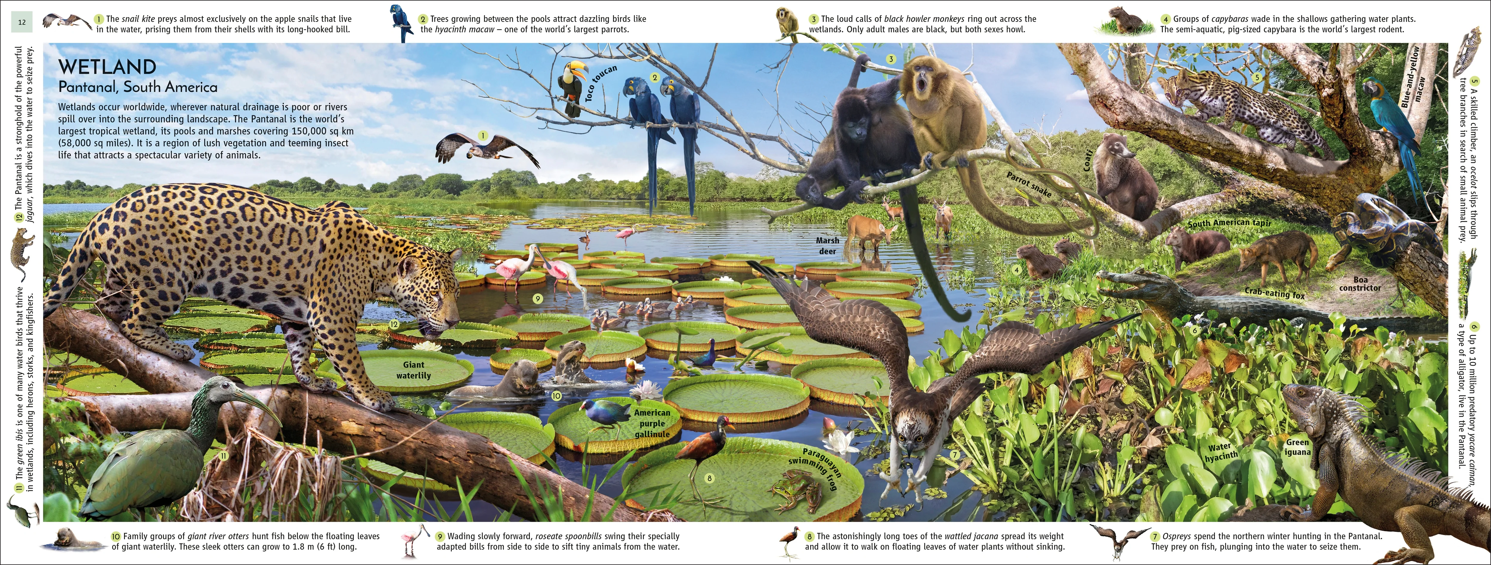 Habitats of the World - Image 4