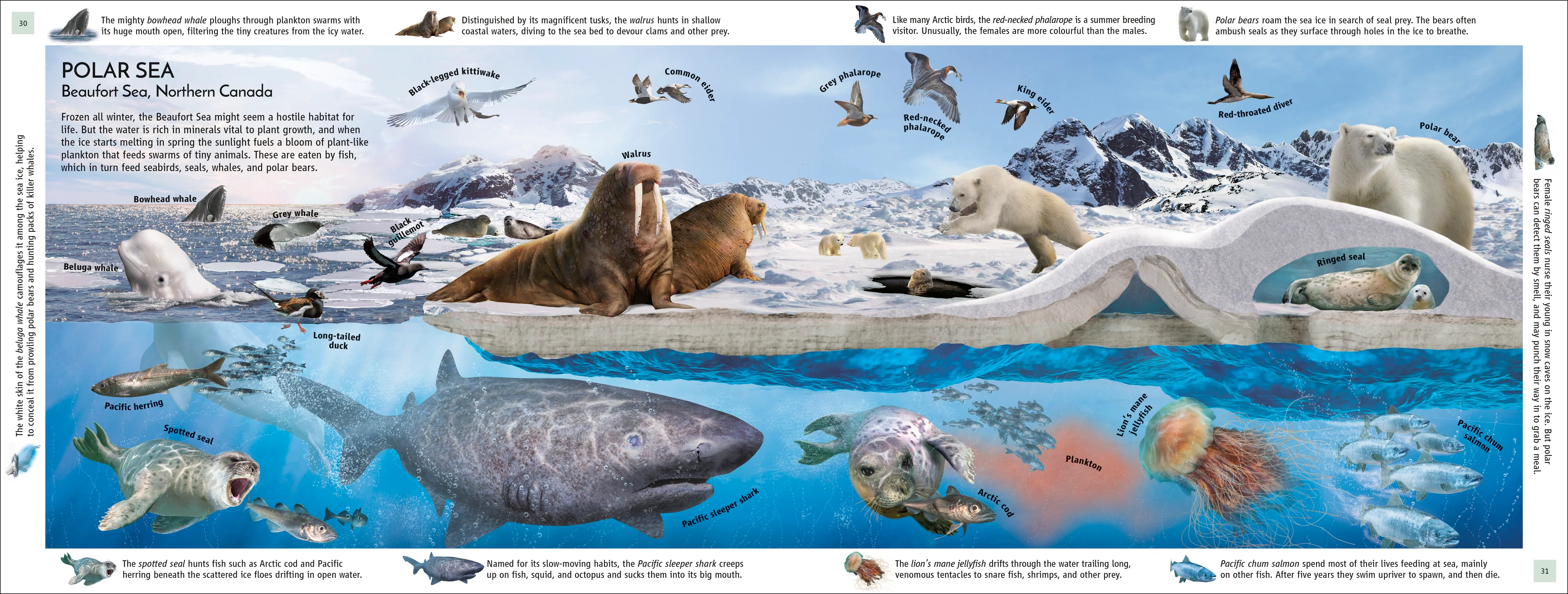 Habitats of the World - Image 5