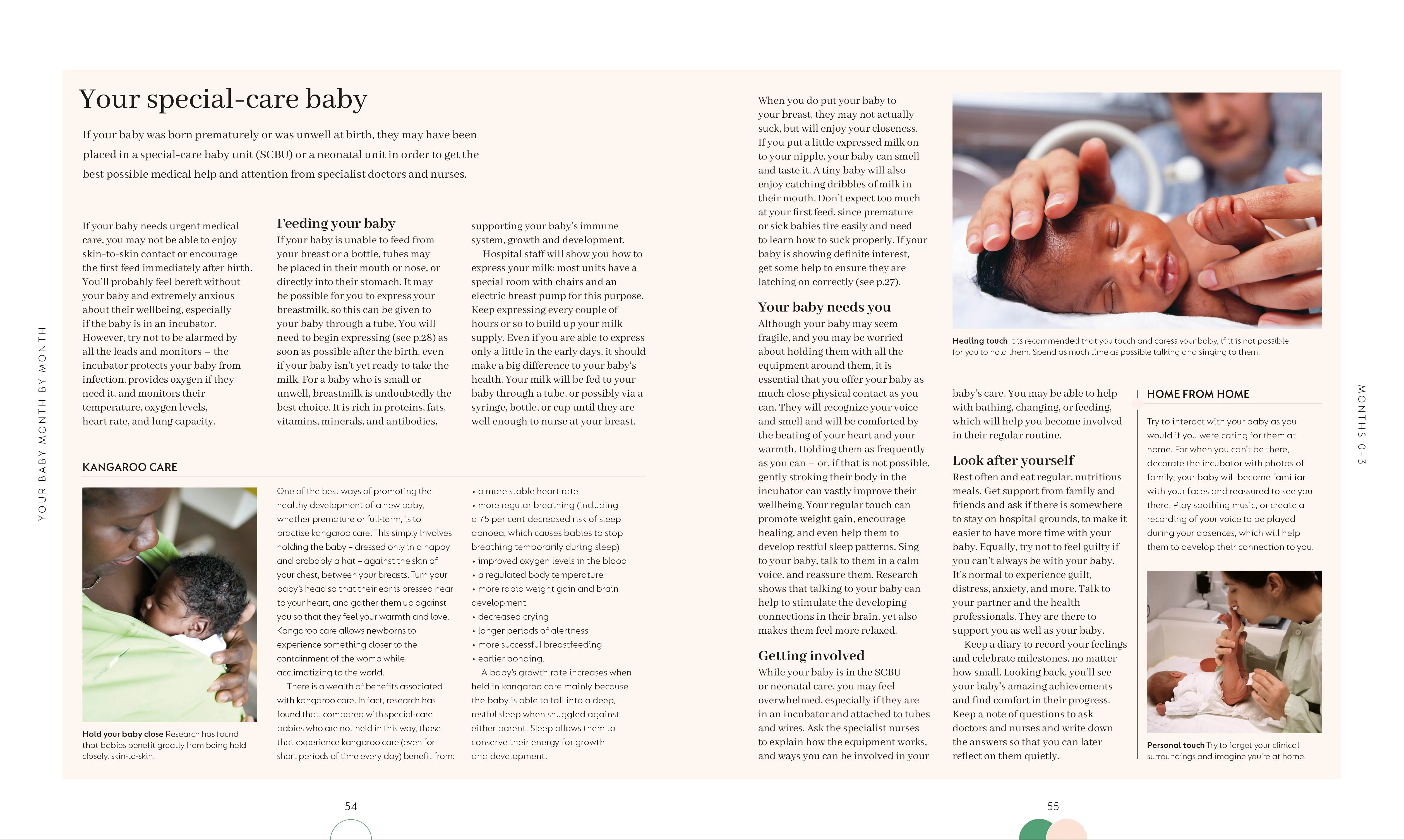 The Month-by-Month Baby Book - Image 4