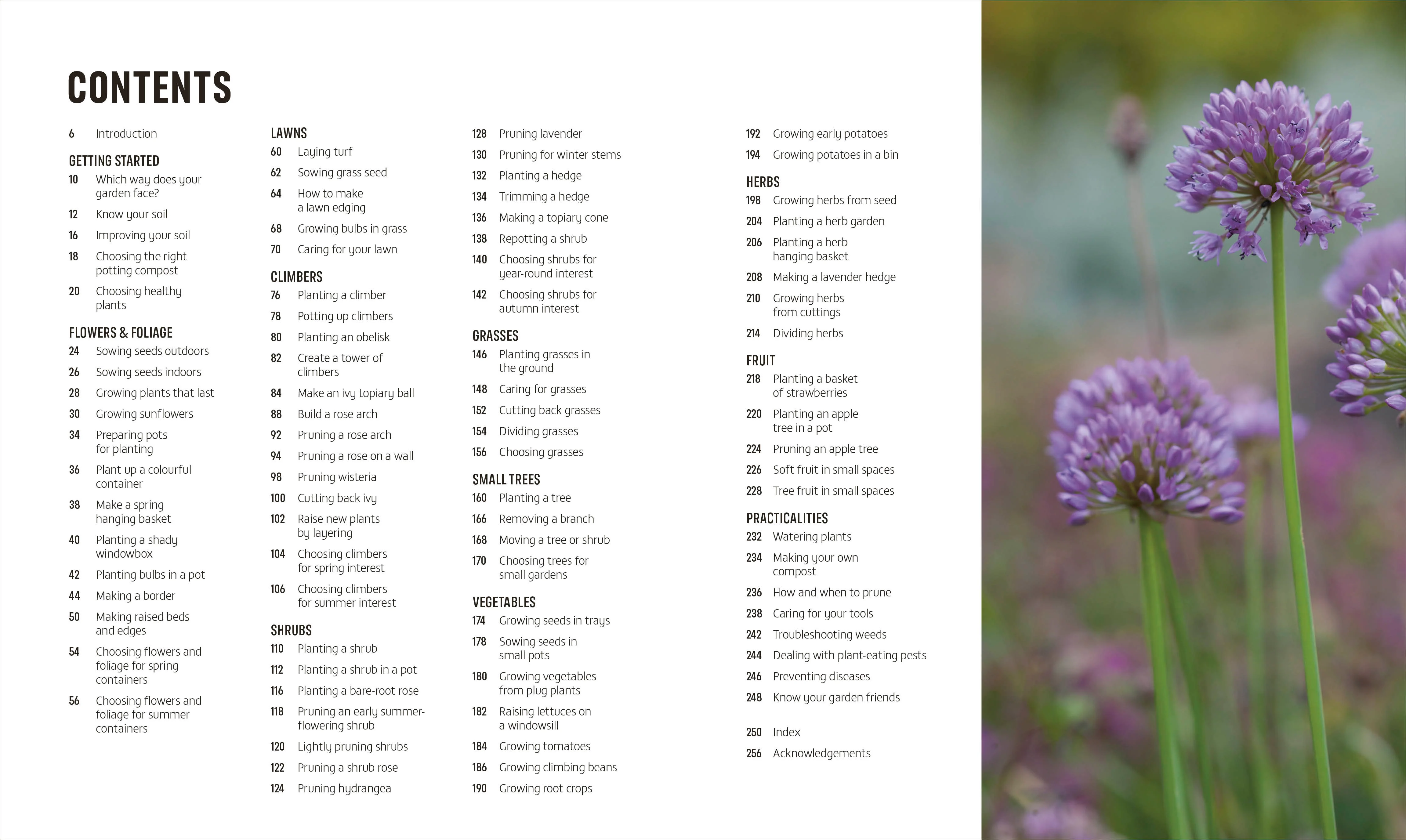 RHS How to Garden When You're New to Gardening - Image 2