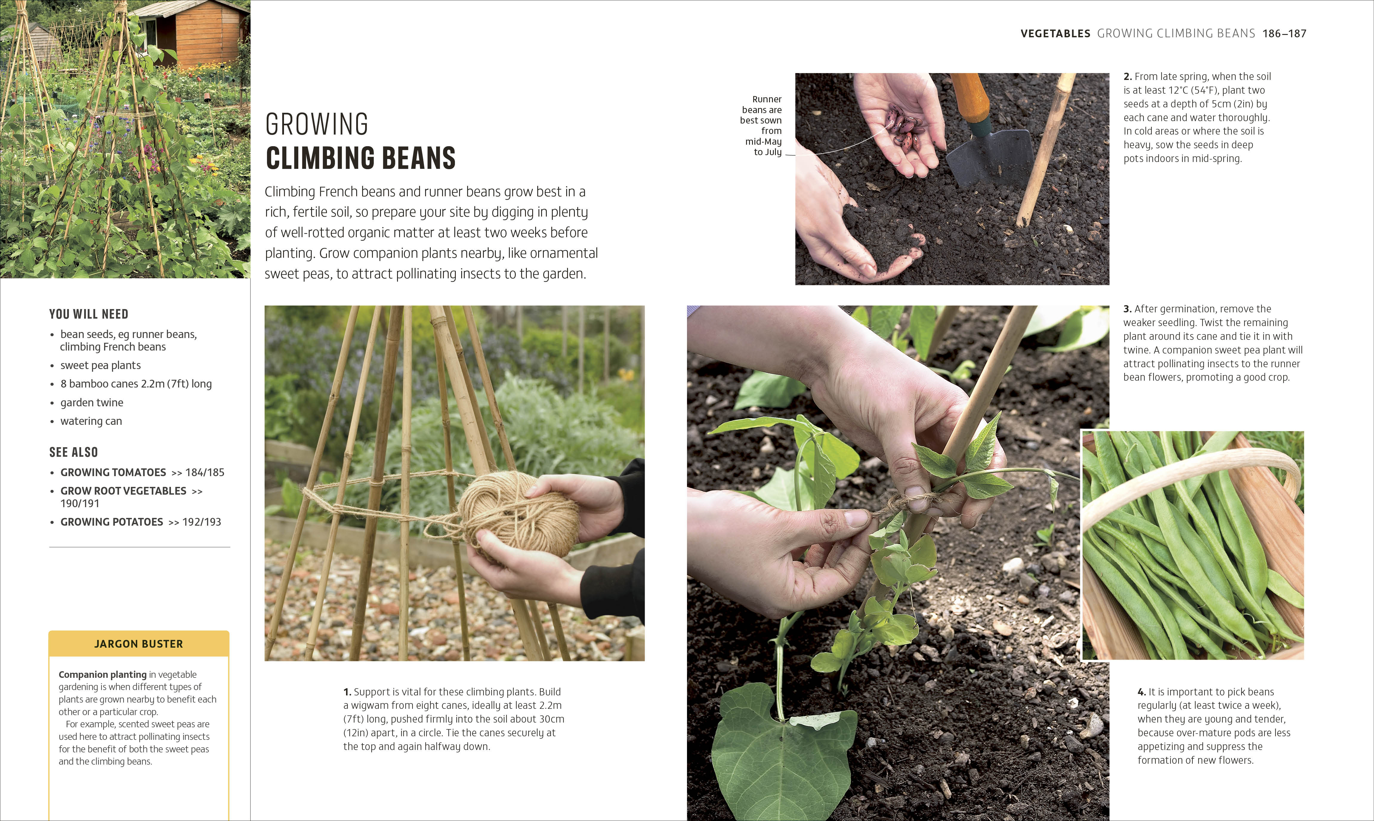 RHS How to Garden When You're New to Gardening - Image 4