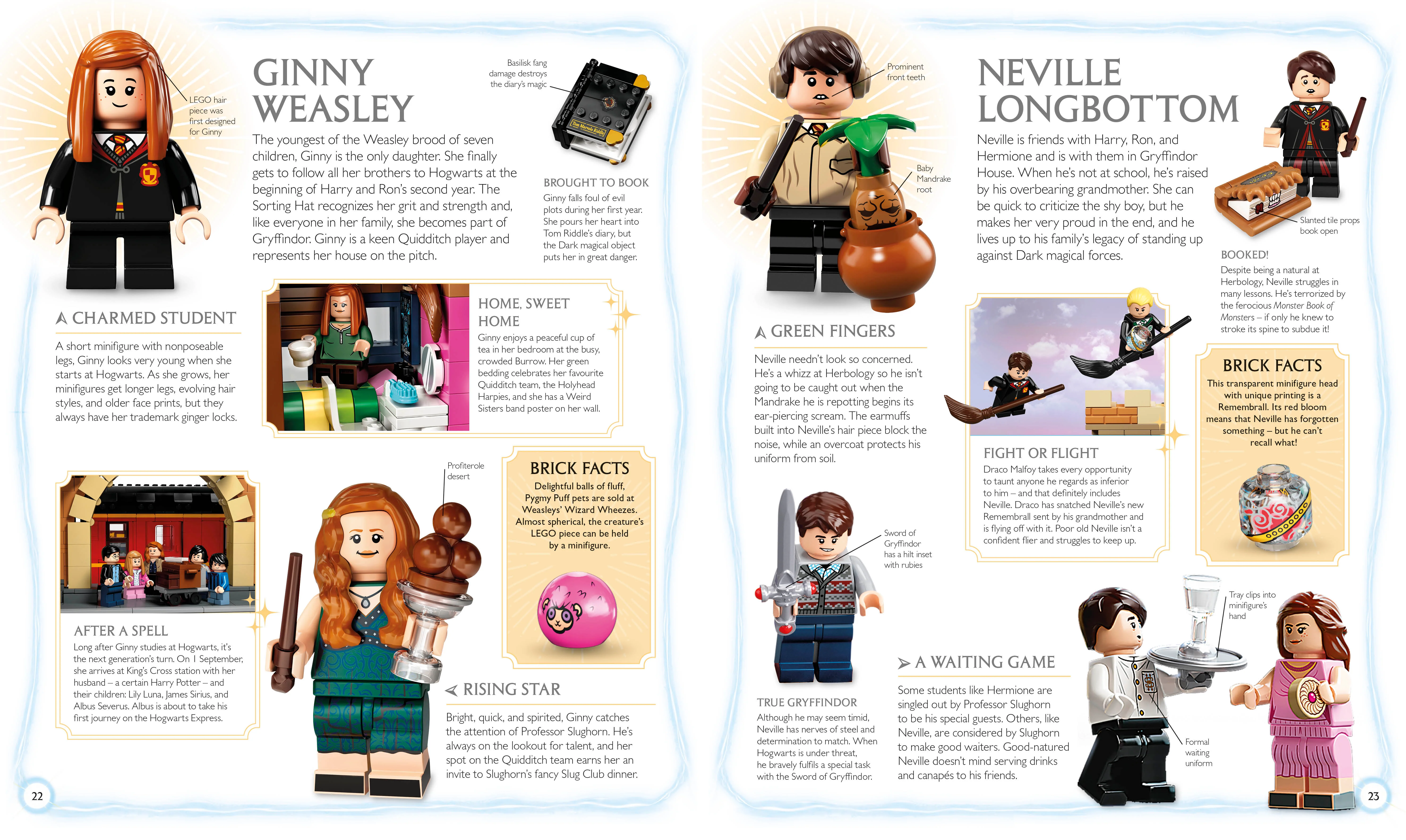 LEGO® Harry Potter Visual Dictionary - Image 4