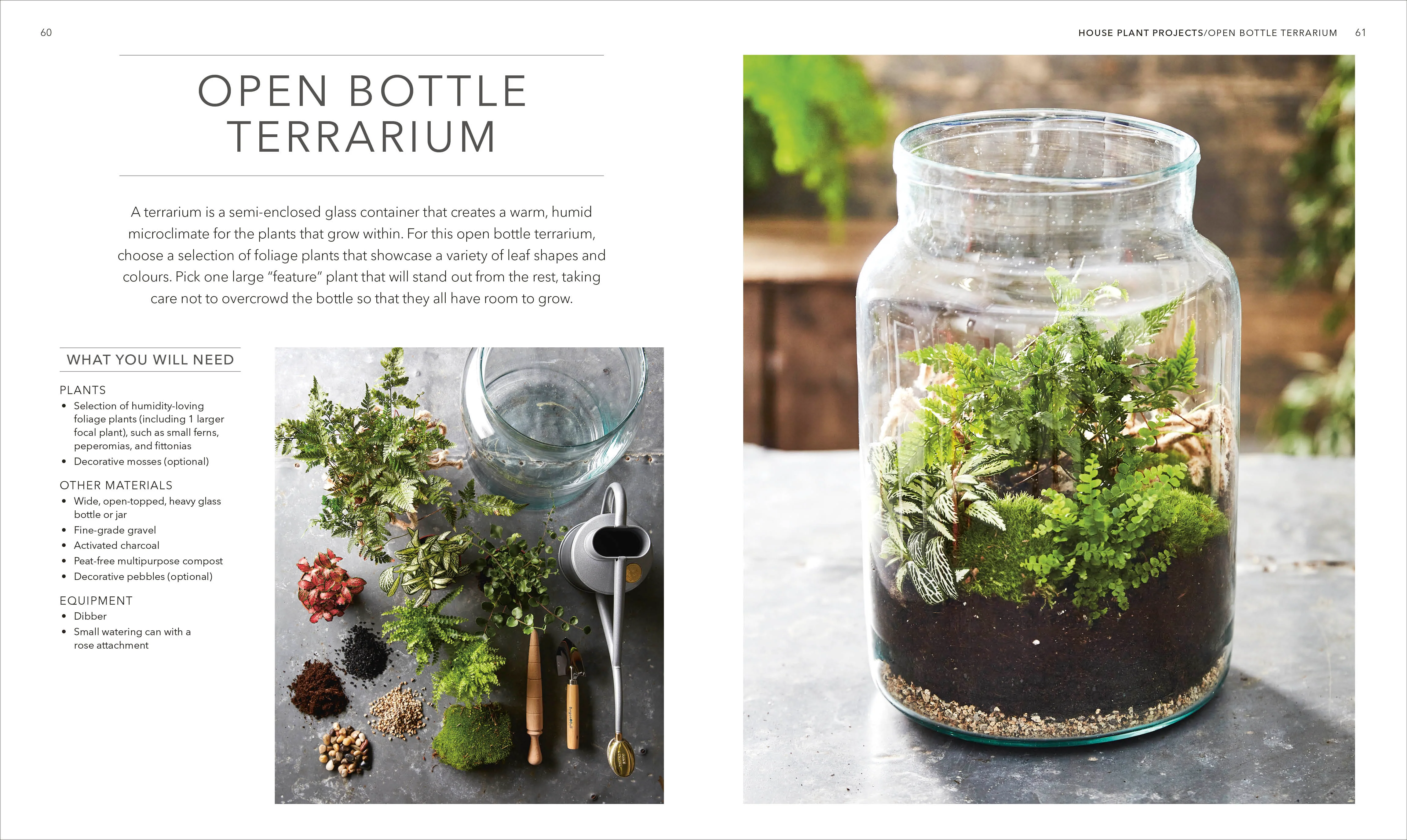RHS House Plant - Image 3