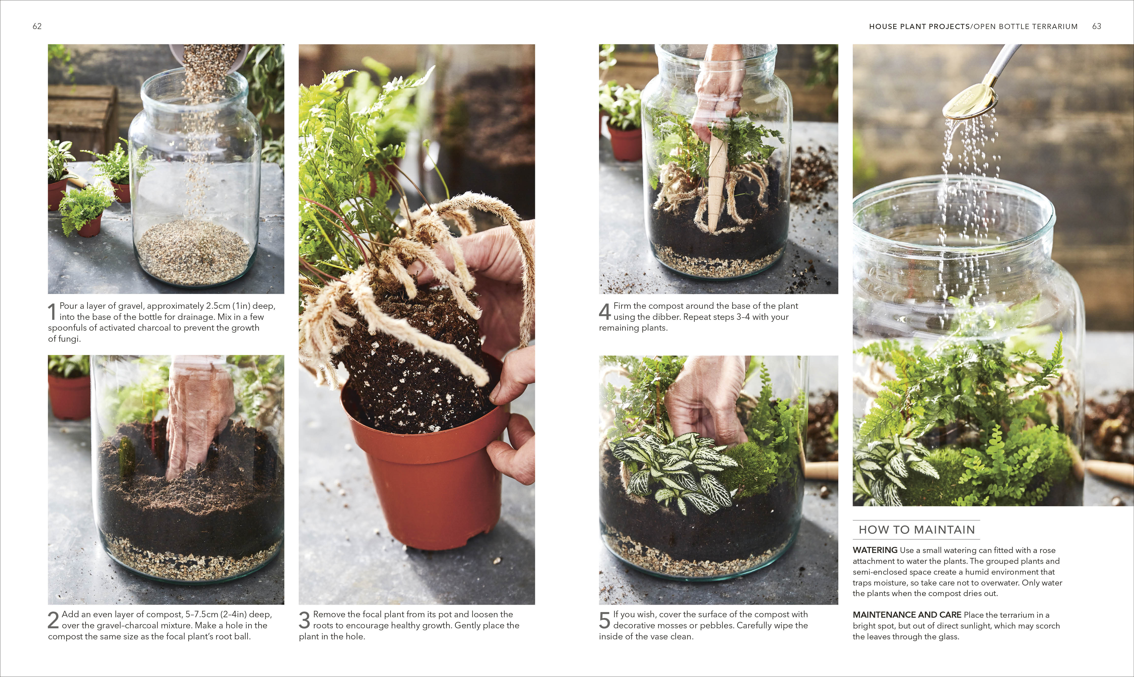 RHS House Plant - Image 4