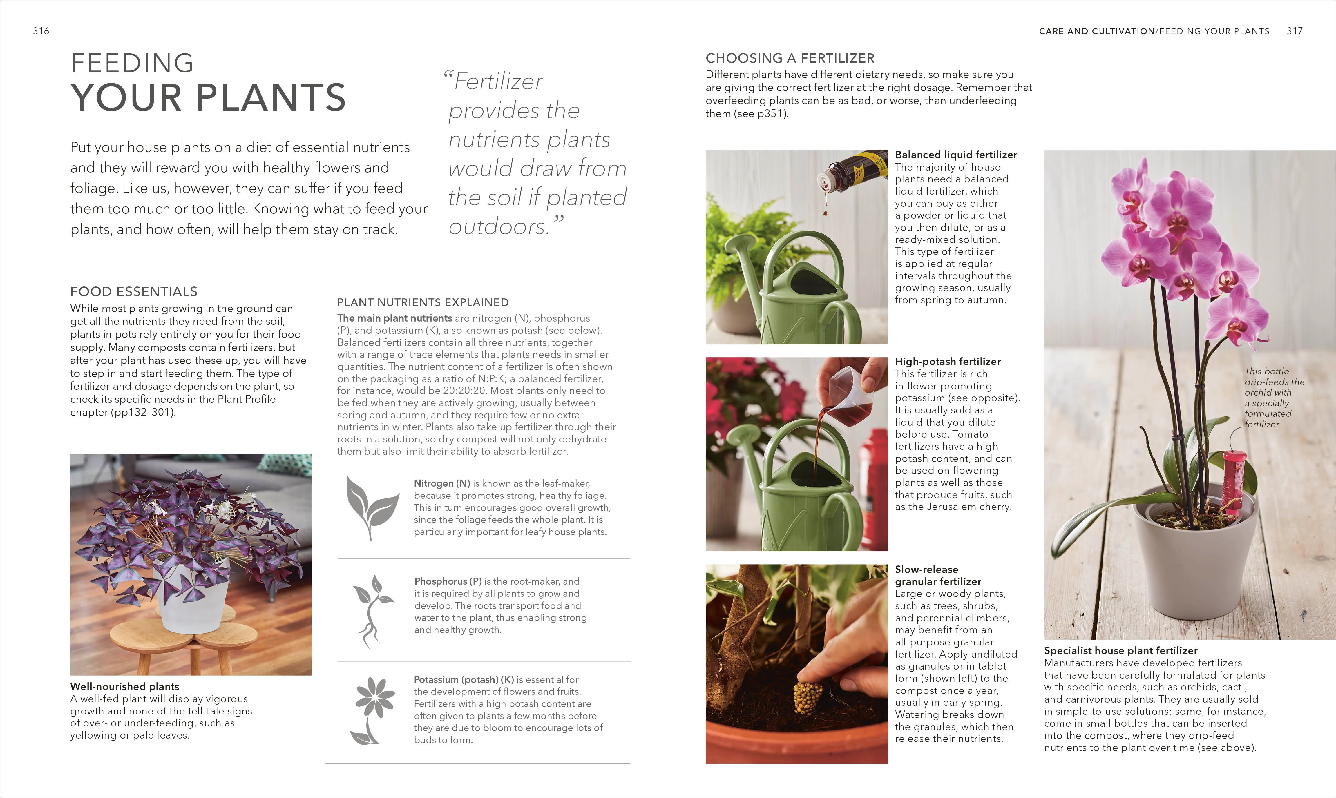 RHS House Plant - Image 7