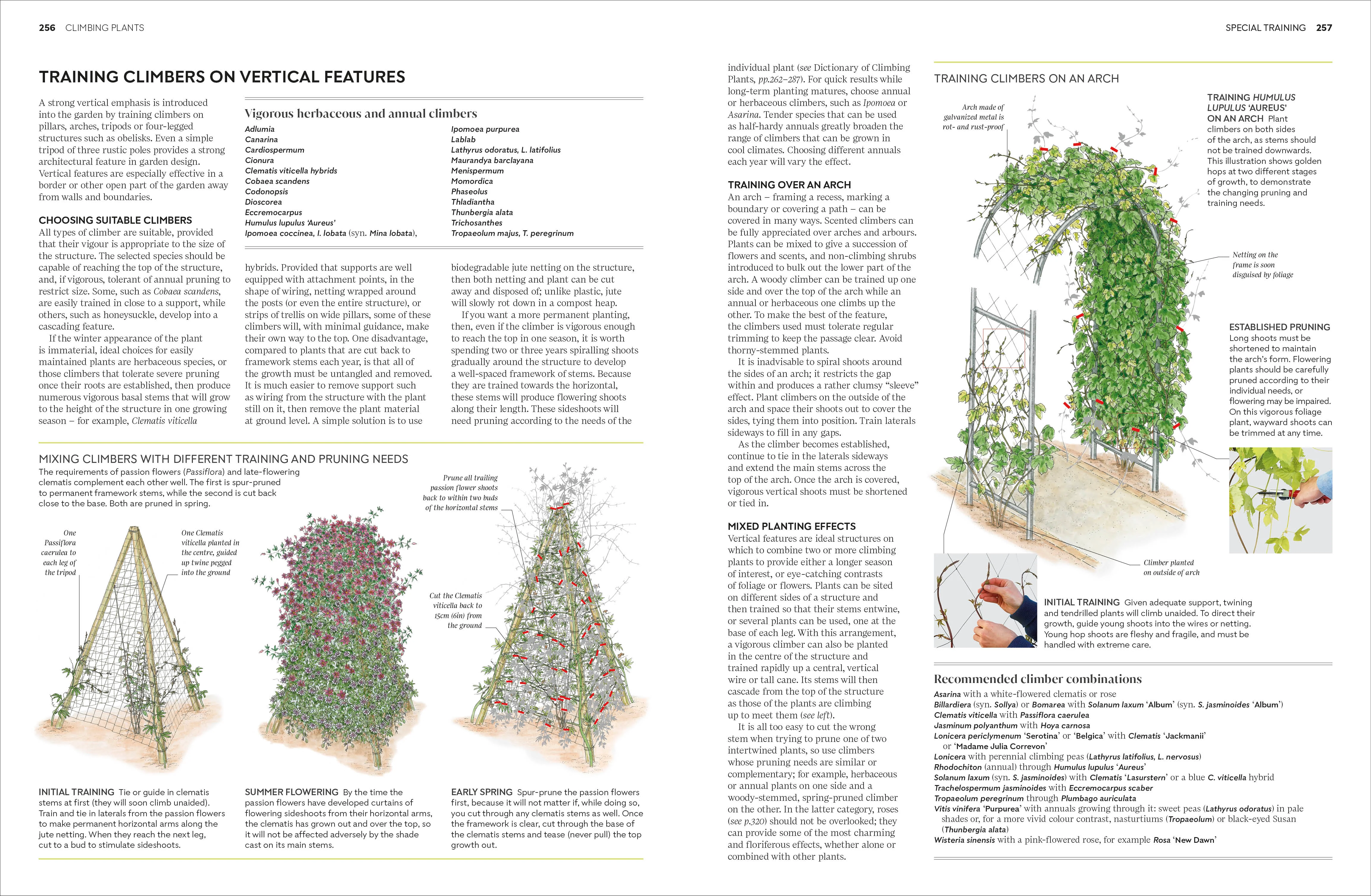 RHS Pruning and Training - Image 7