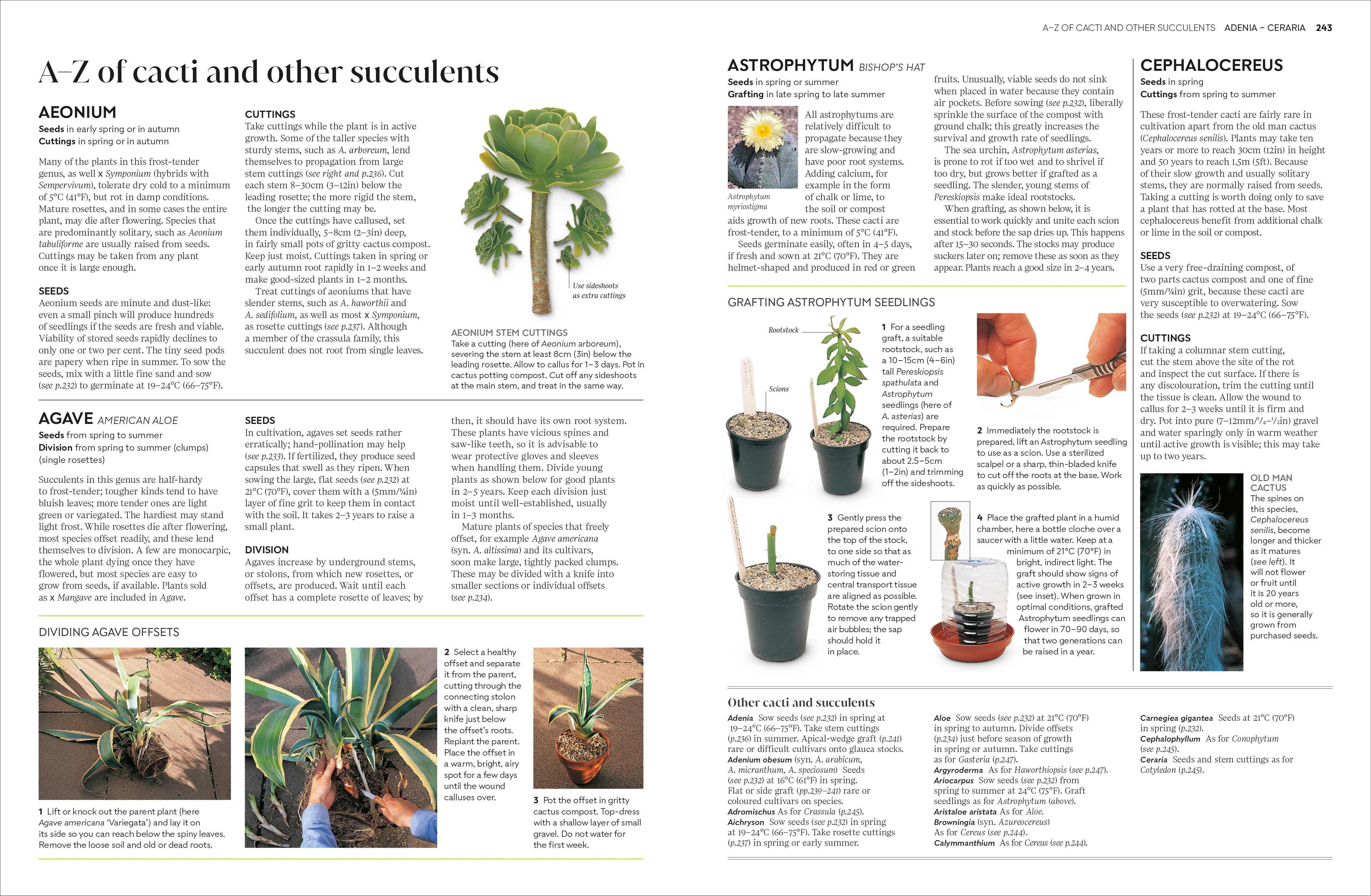 RHS Propagating Plants - Image 4