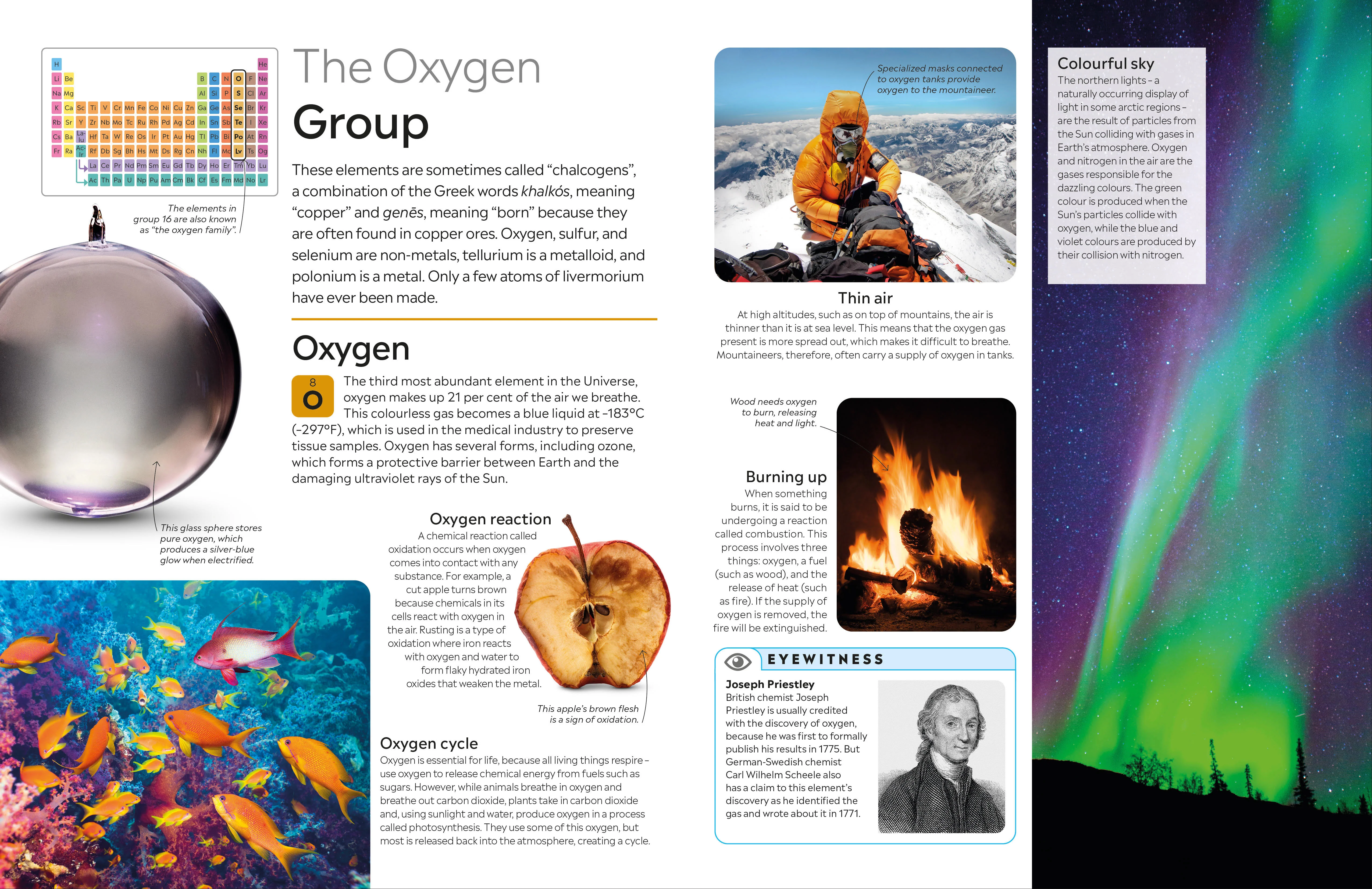 Periodic Table - Image 5