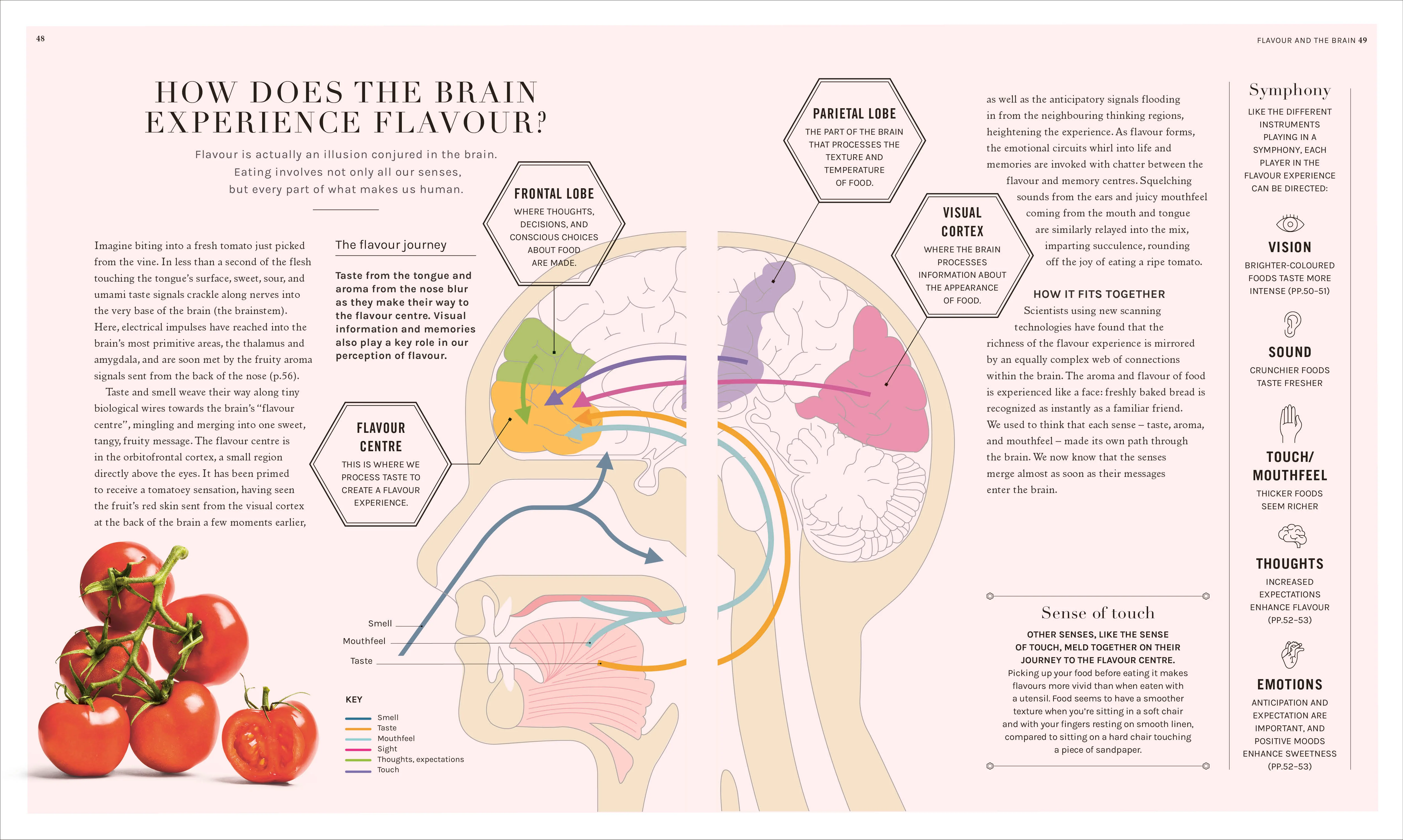 The Science of Flavour - Image 3