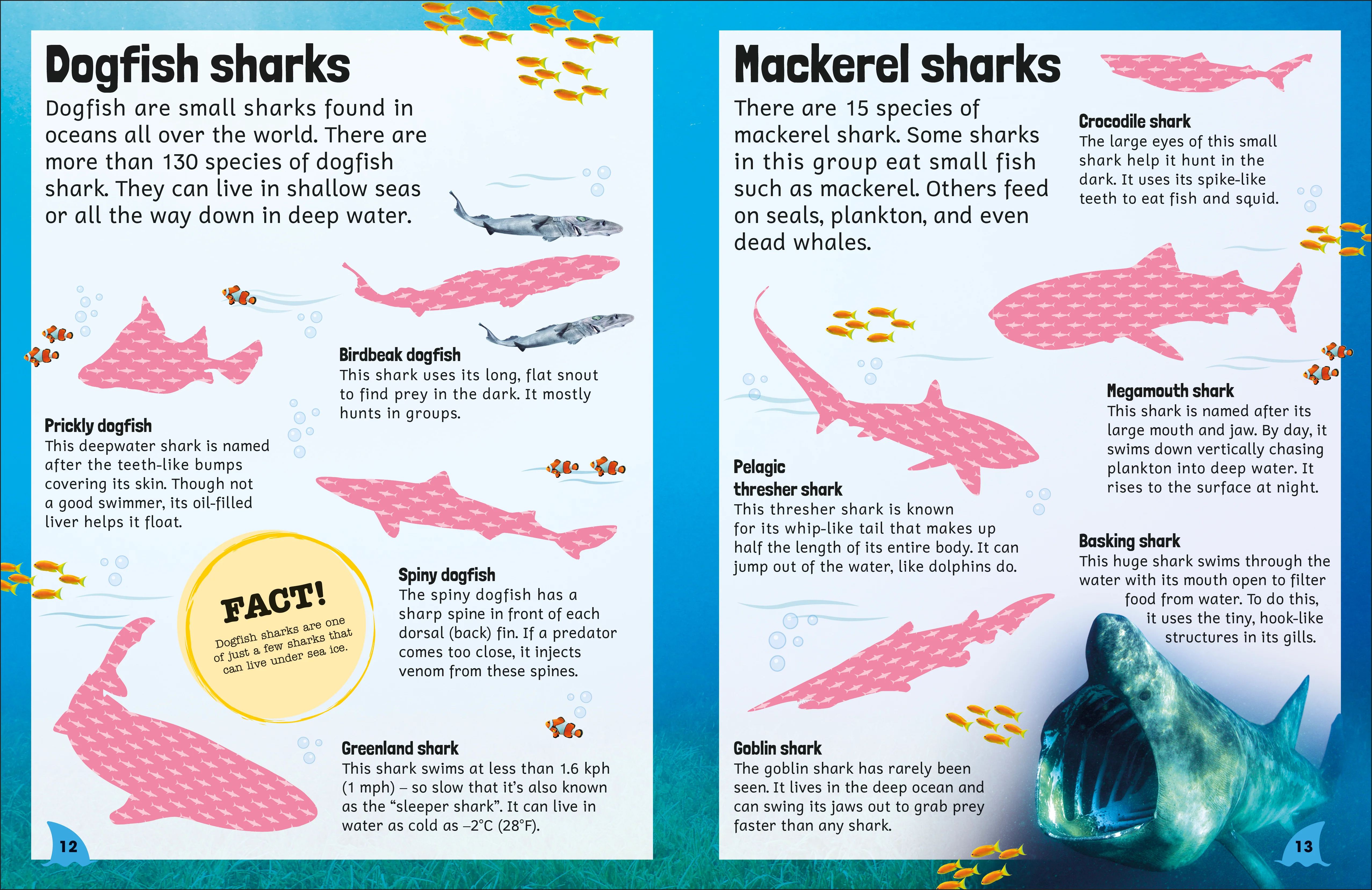 Sticker Encyclopedia Sharks - Image 2