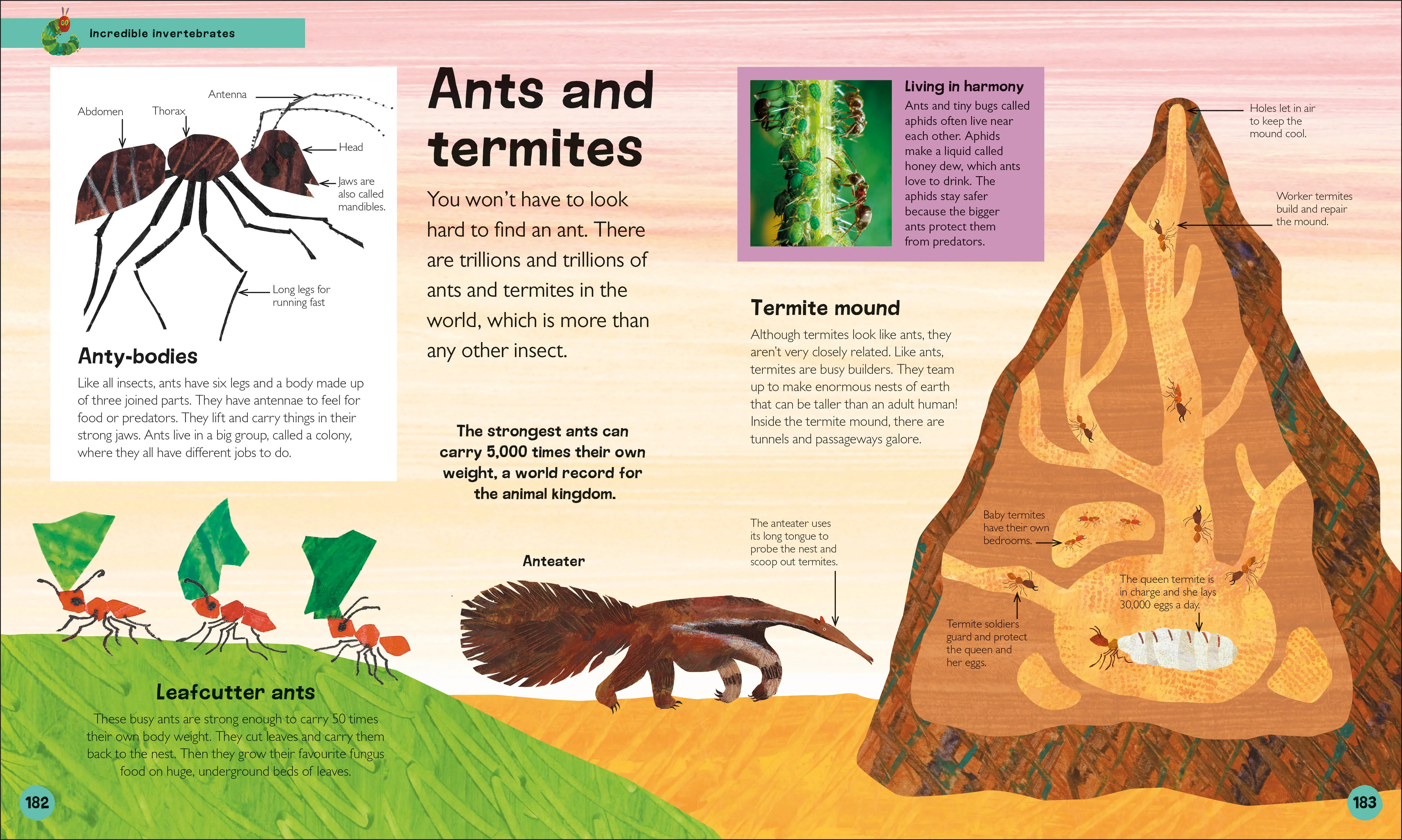 The Very Hungry Caterpillar's Very First Animal Encyclopedia - Image 7