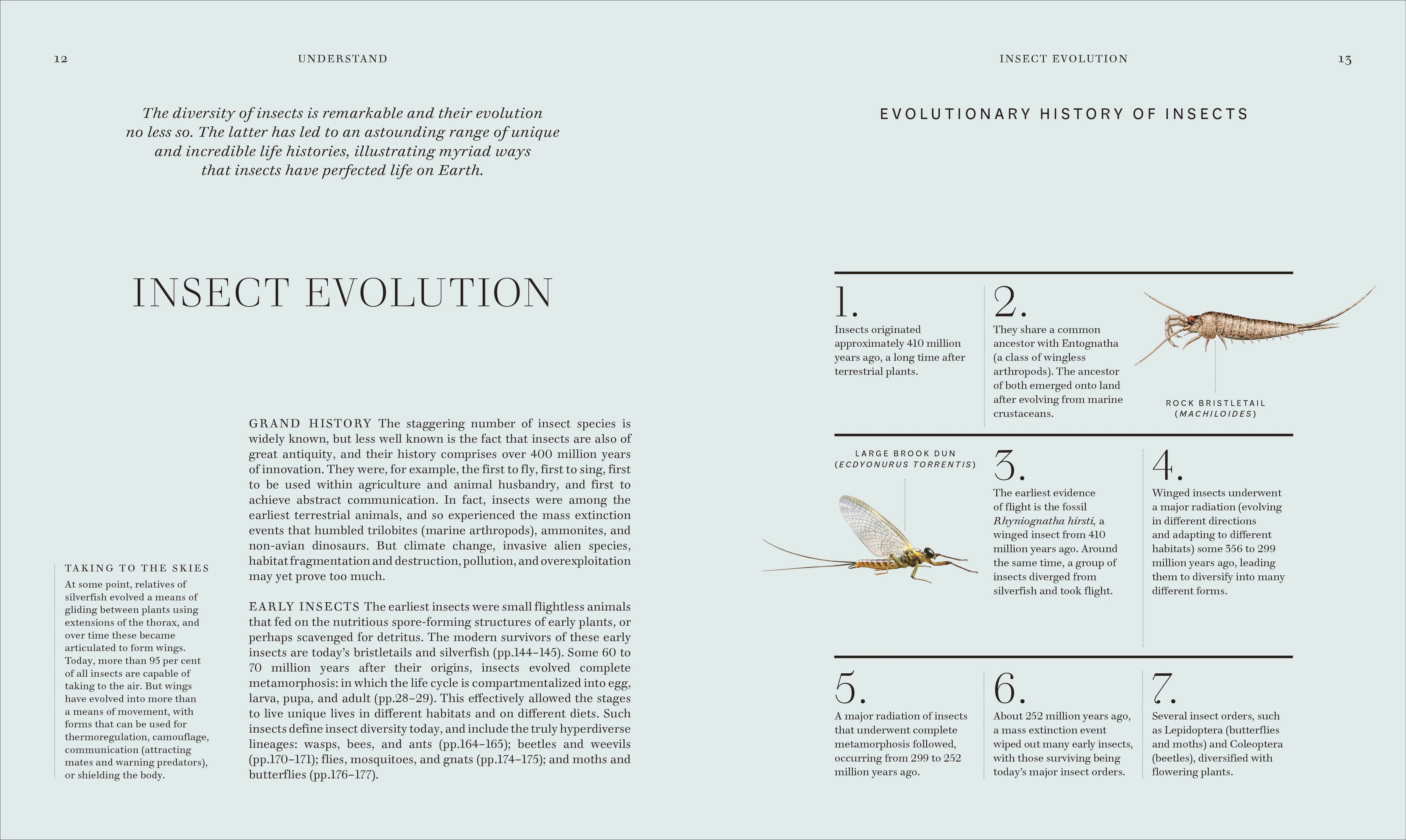 RES Insects - Image 3