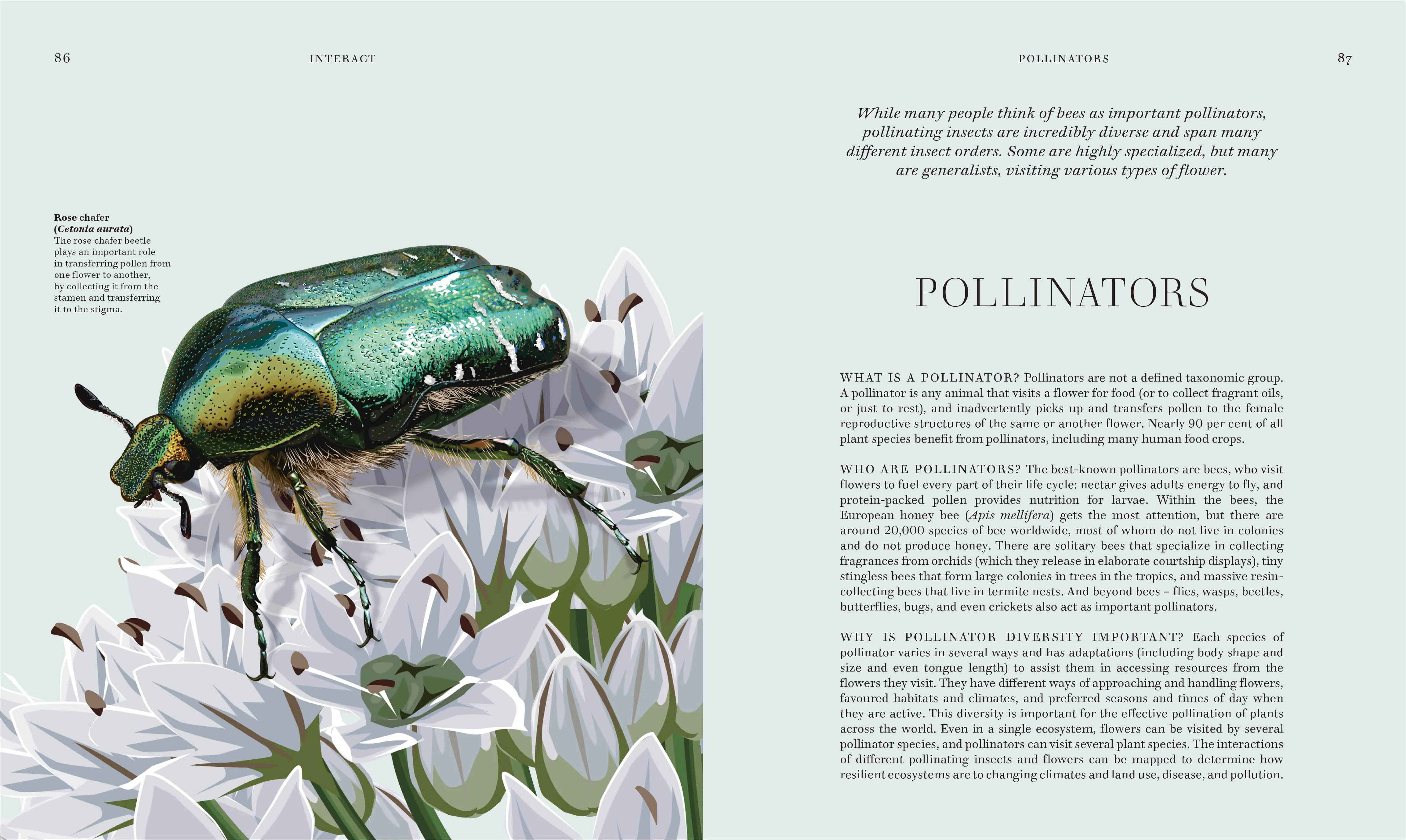 RES Insects - Image 6