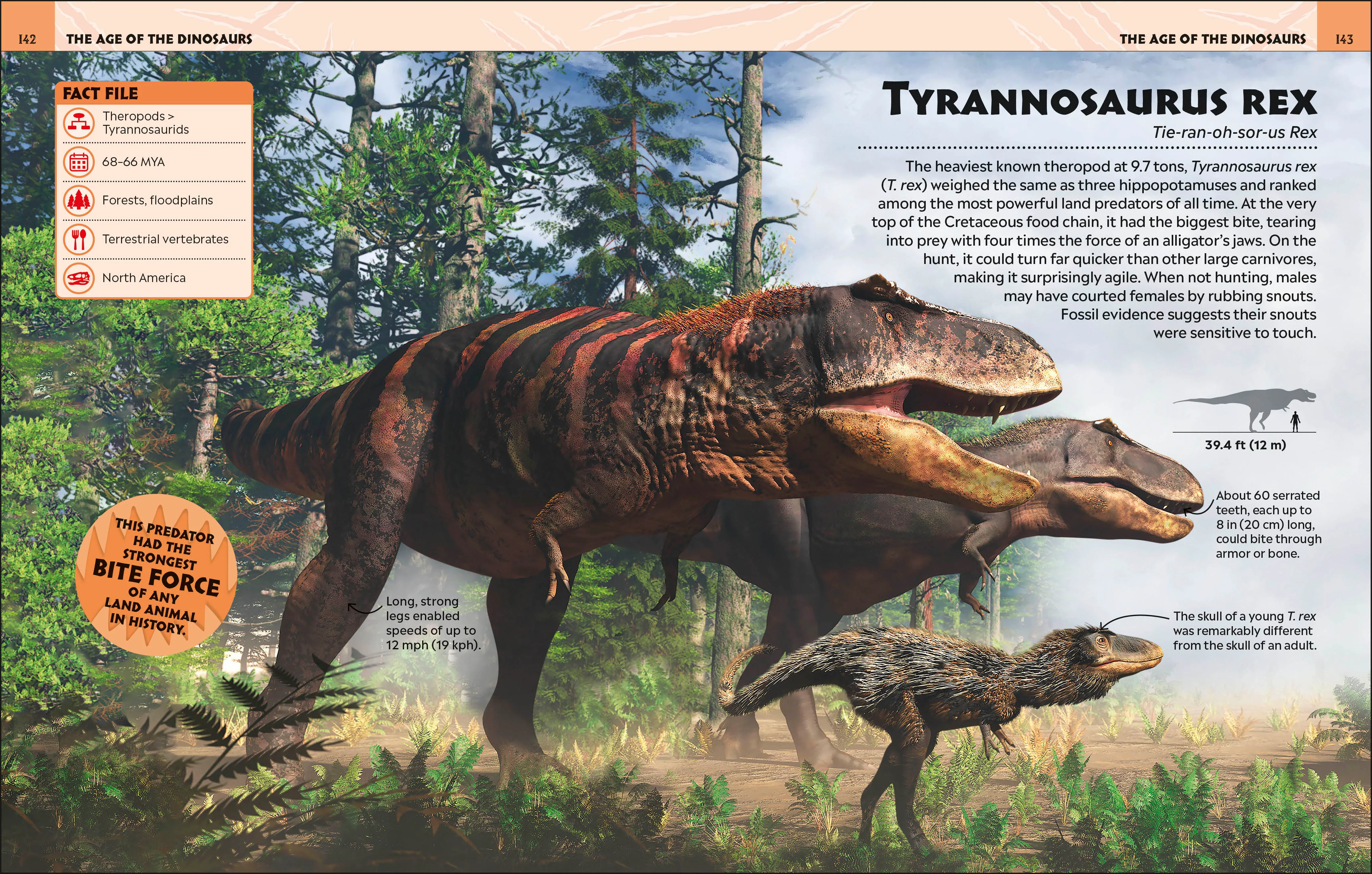 Extraordinary Dinosaurs and Other Prehistoric Life - Image 10