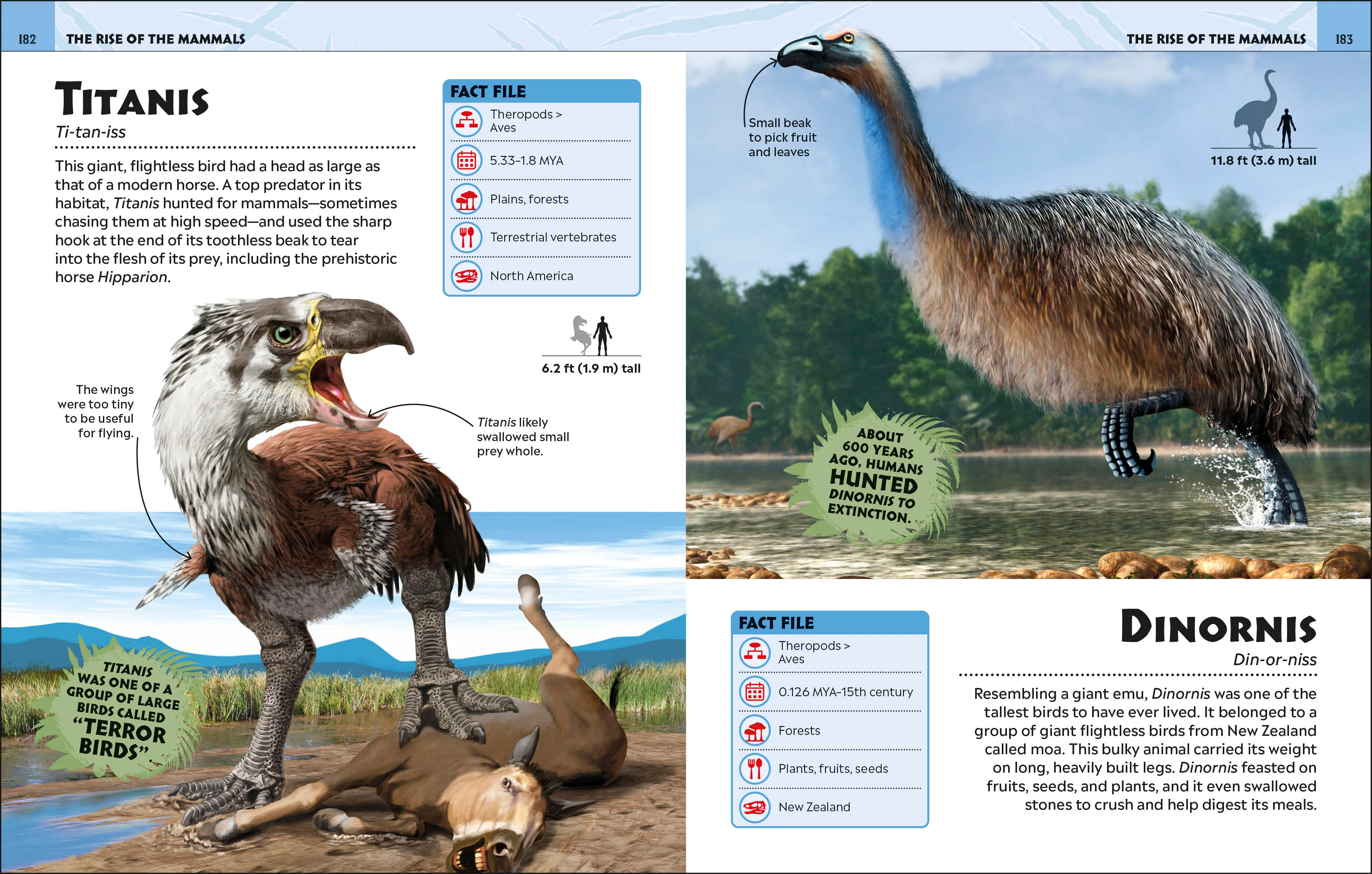 Extraordinary Dinosaurs and Other Prehistoric Life - Image 11