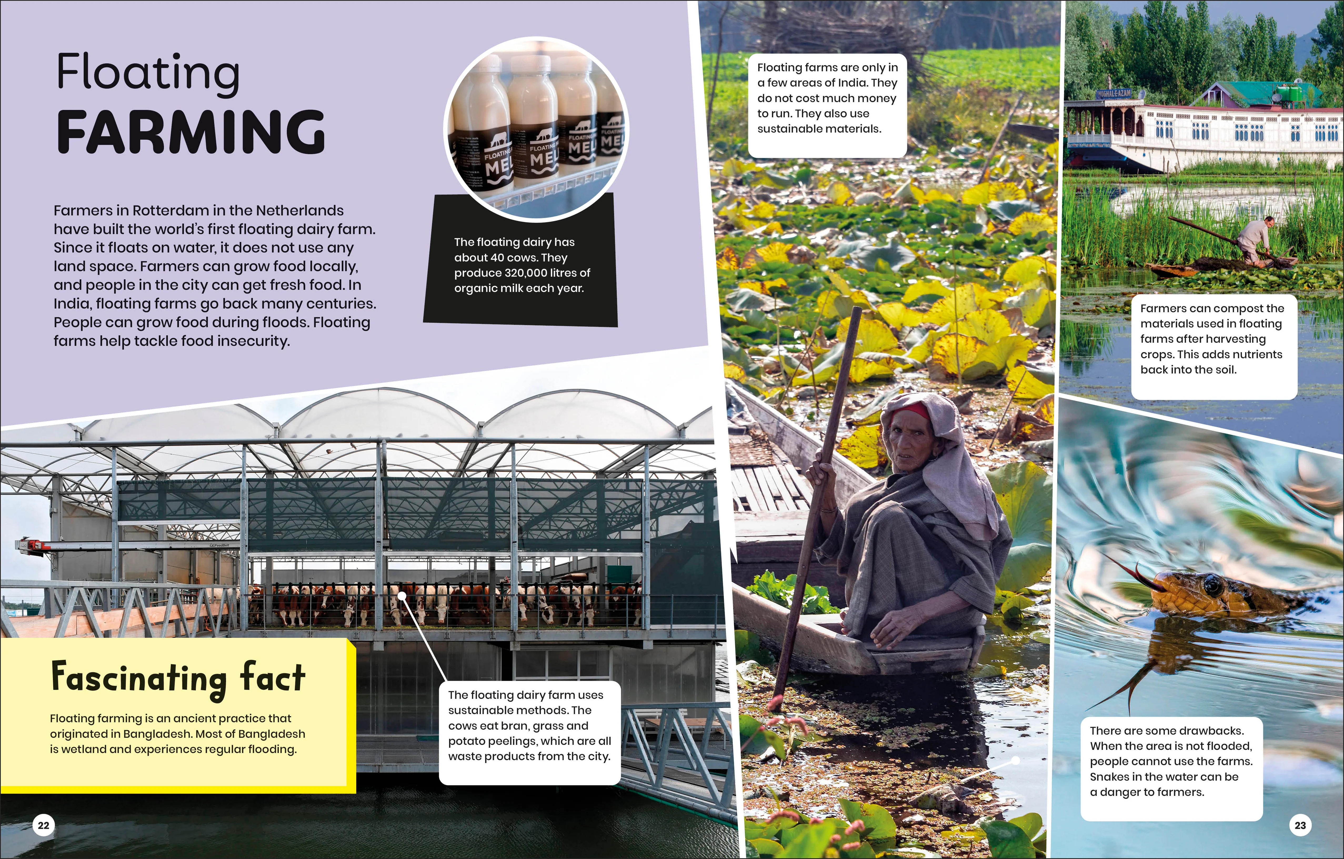 DK Super Planet Farming and Food Security - Image 4