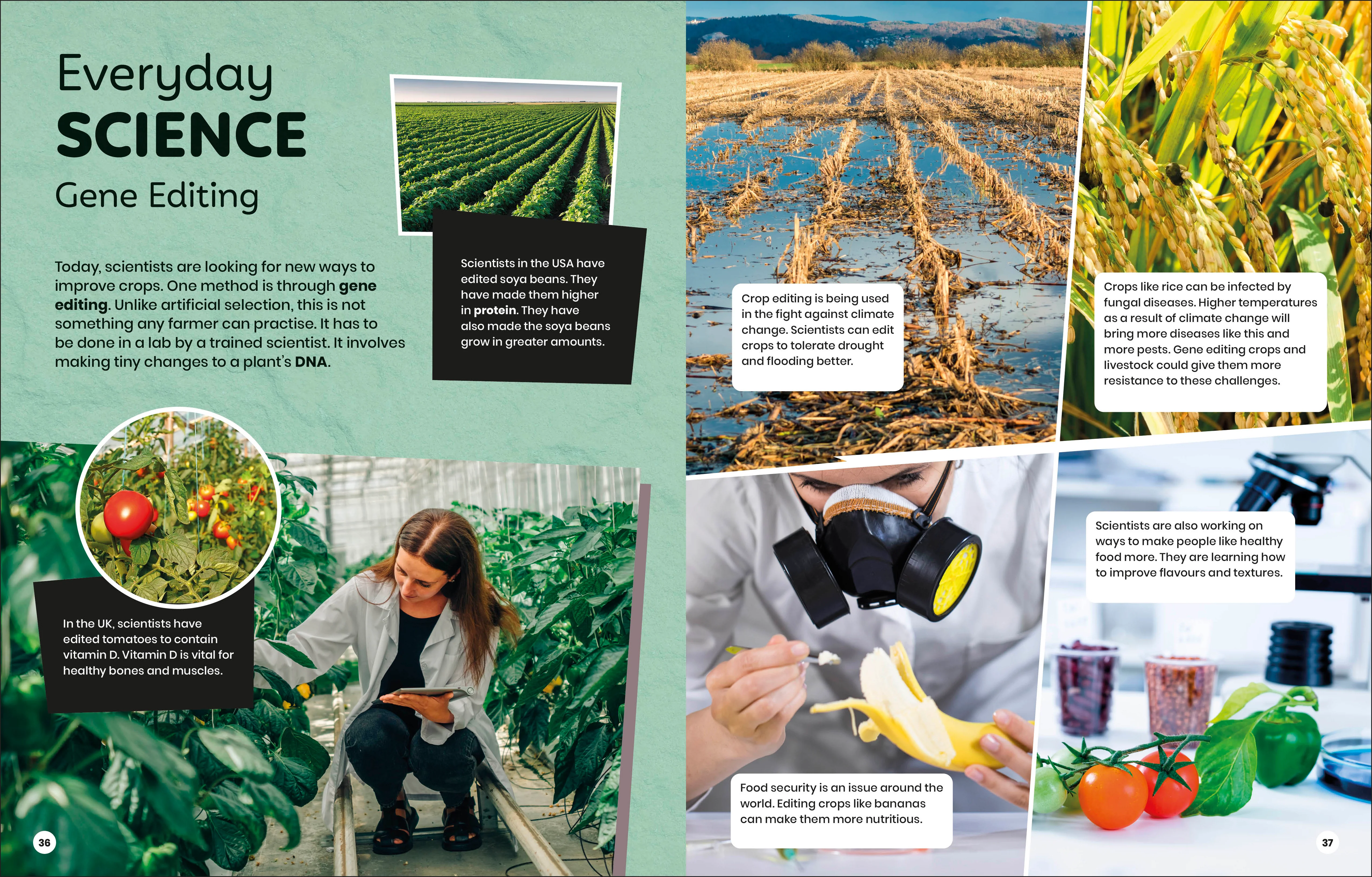 DK Super Planet Farming and Food Security - Image 6