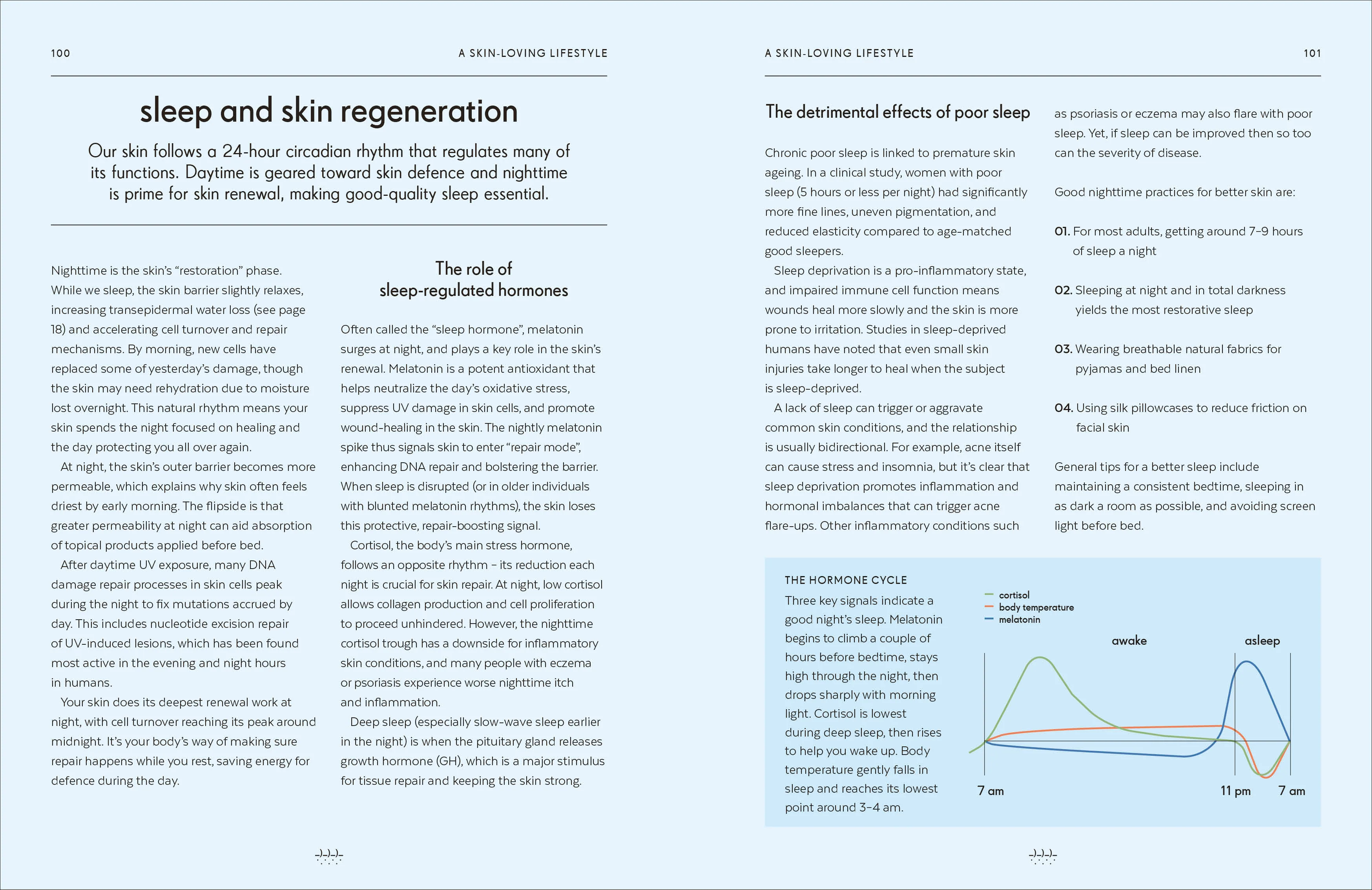 Skin - Image 4