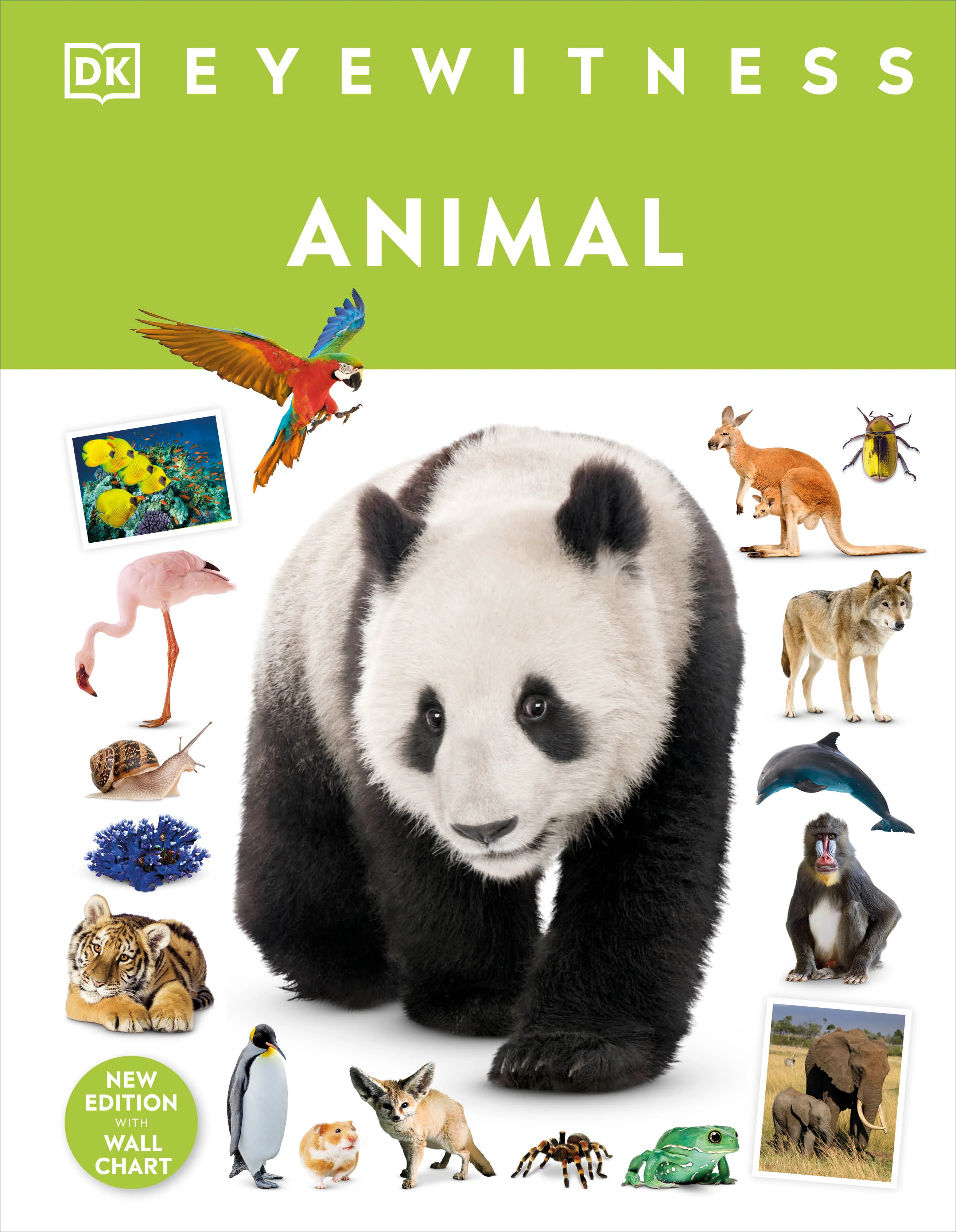 Animal