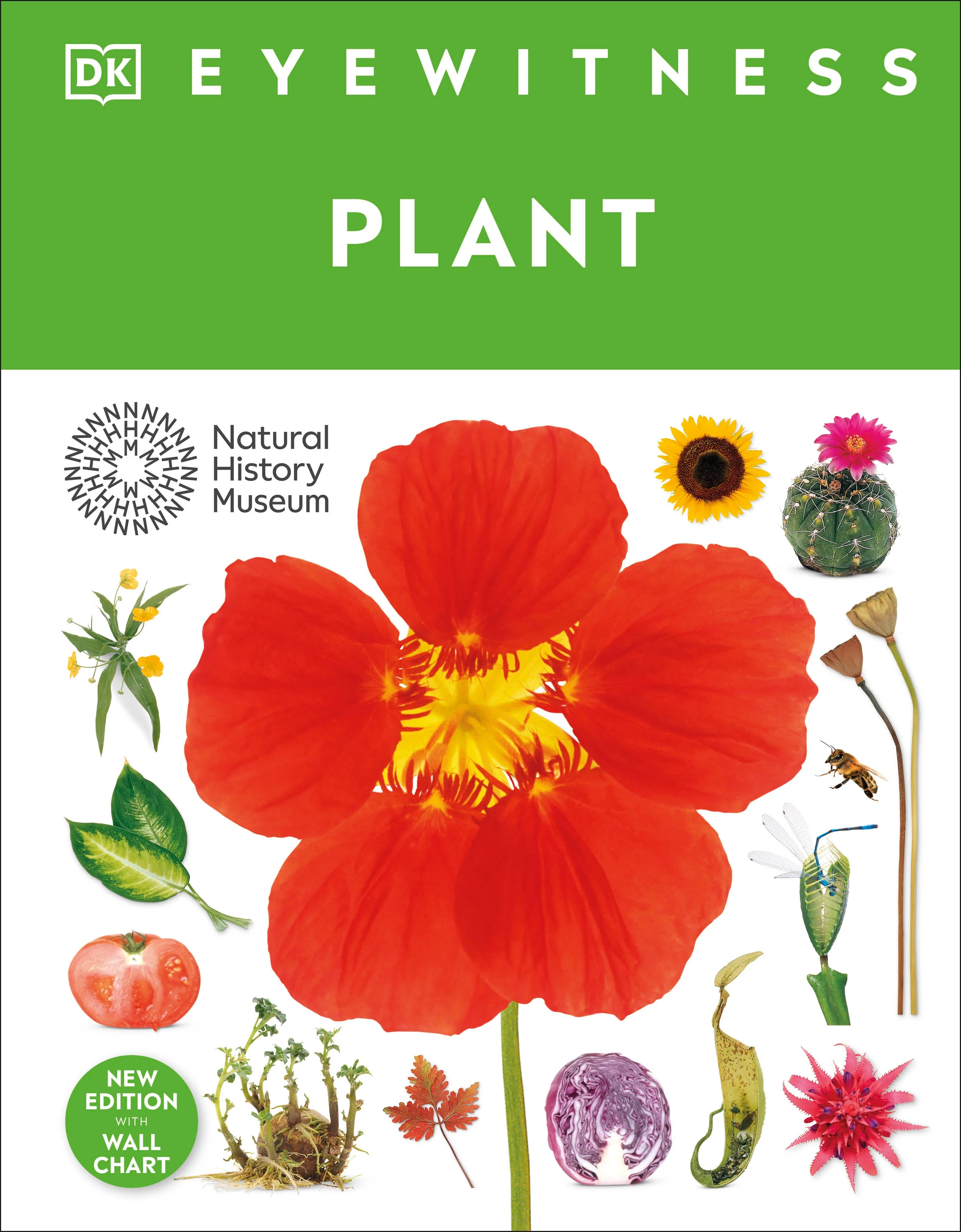Eyewitness Plant