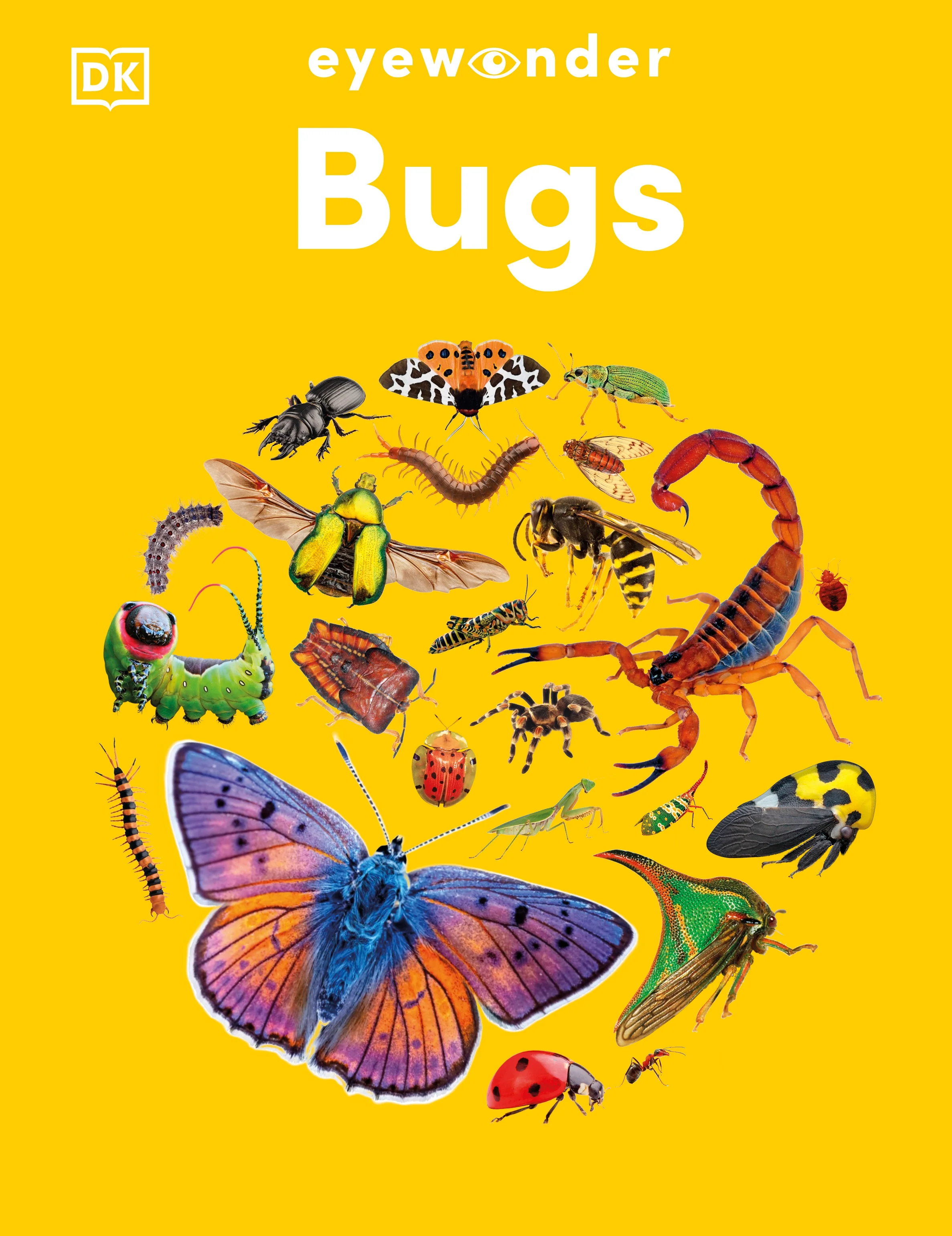 Eyewonder Bugs
