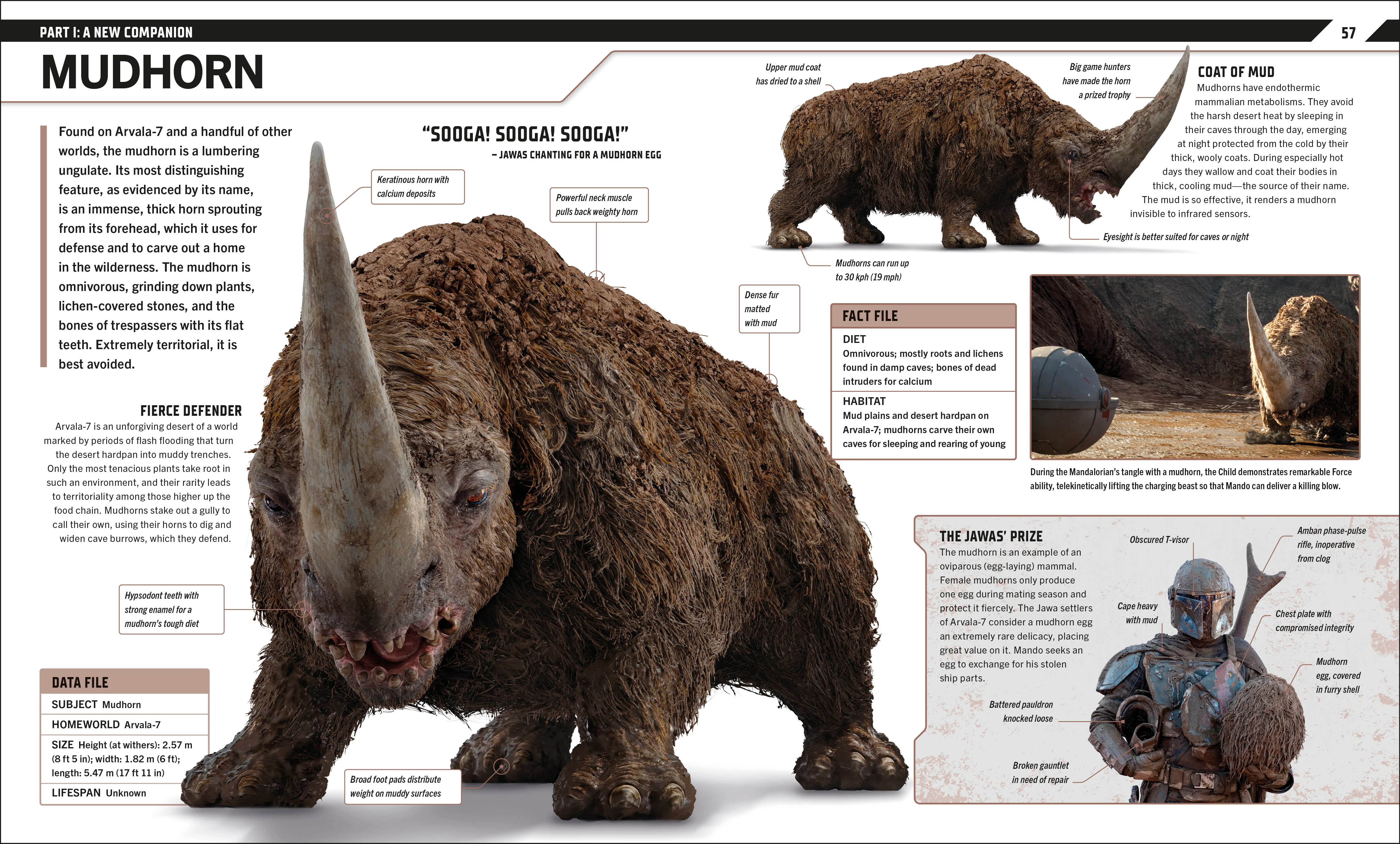 Star Wars The Mandalorian Visual Guide - Image 2
